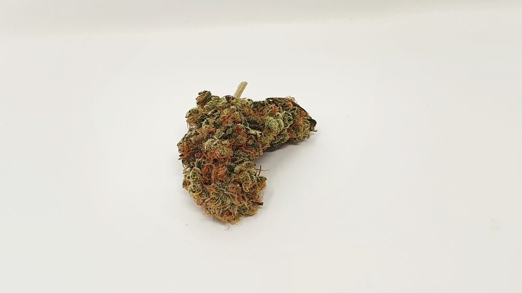 Archive image 3 for Melon Face Cannabis Strain Review & Information