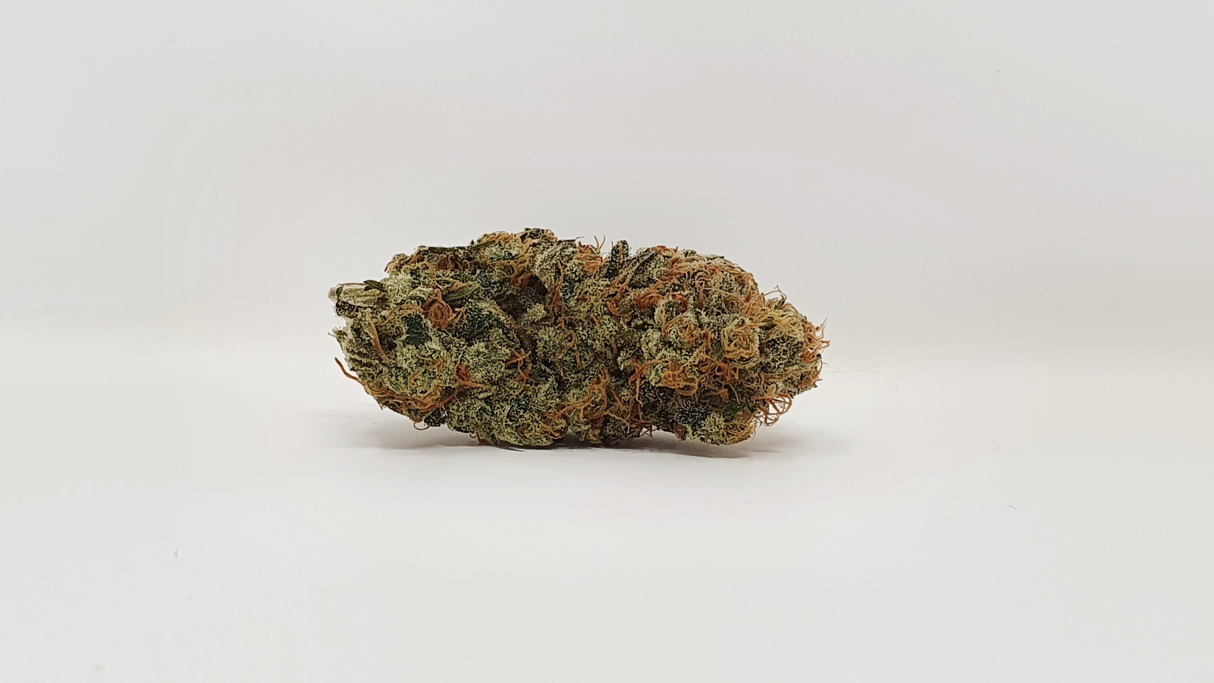 Archive image 5 for Melon Face Cannabis Strain Review & Information
