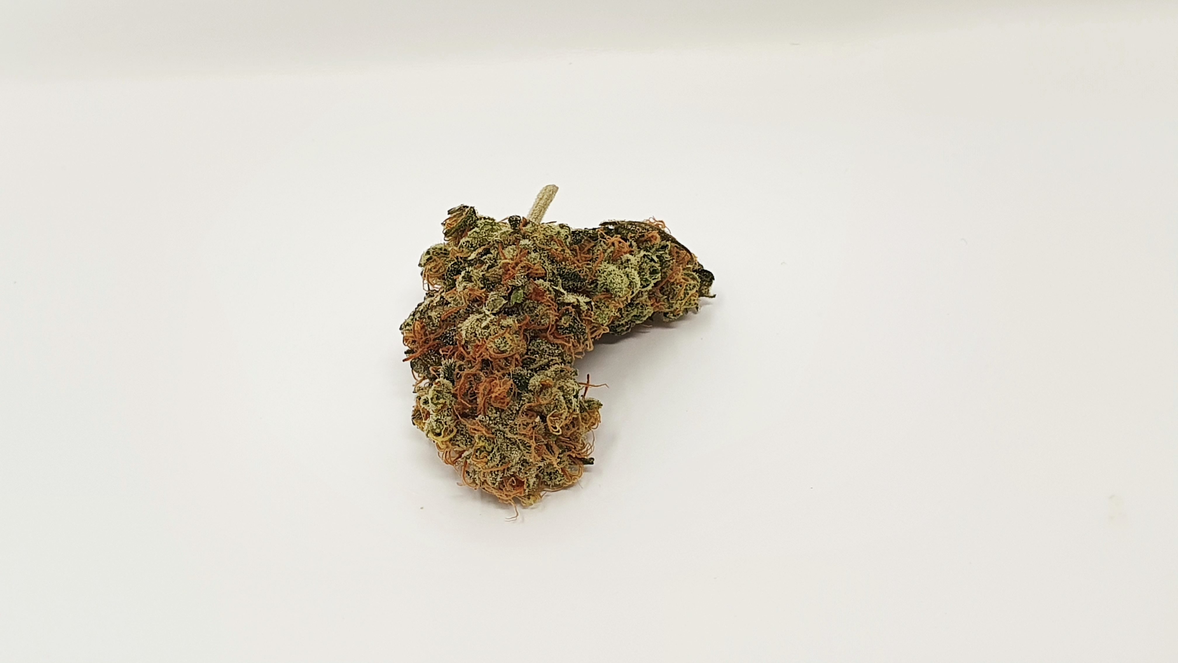 Archive image 7 for Melon Face Cannabis Strain Review & Information