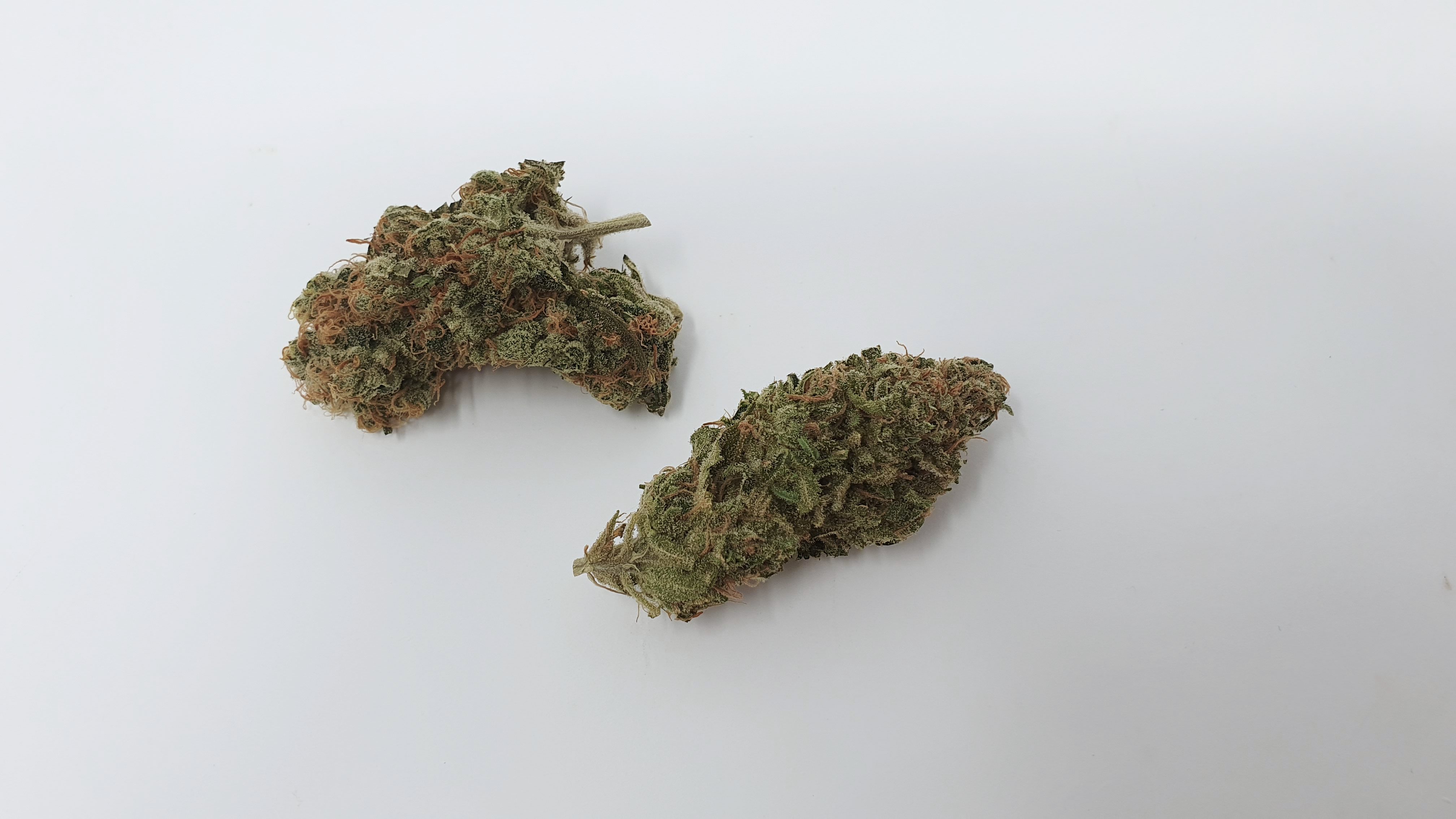 Archive image 9 for Melon Face Cannabis Strain Review & Information