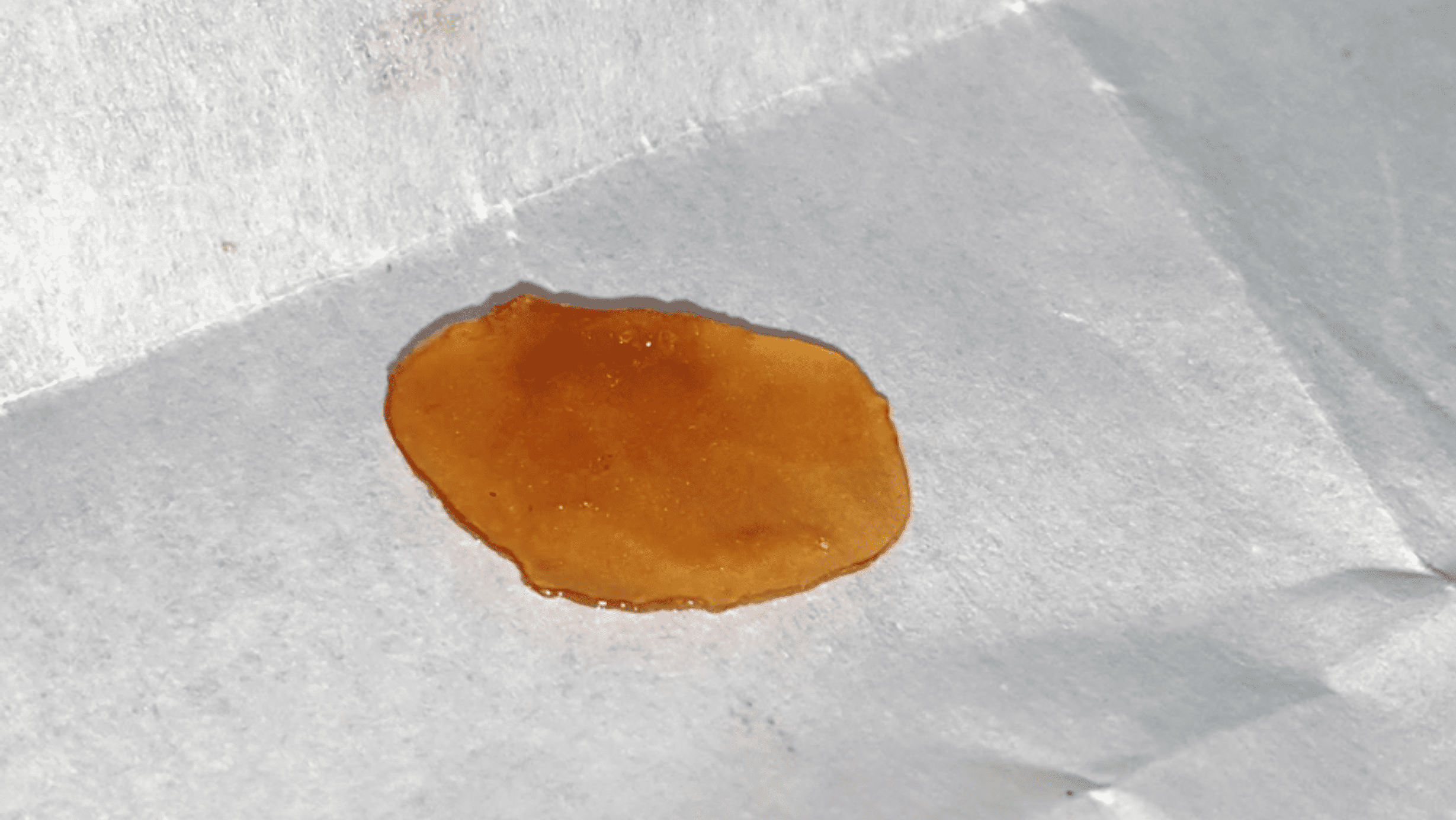 Archive image 3 for Mimosa Strain Review & Information