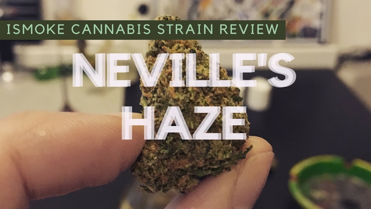 Archive image 3 for Neville's Haze Cannabis Strain Review