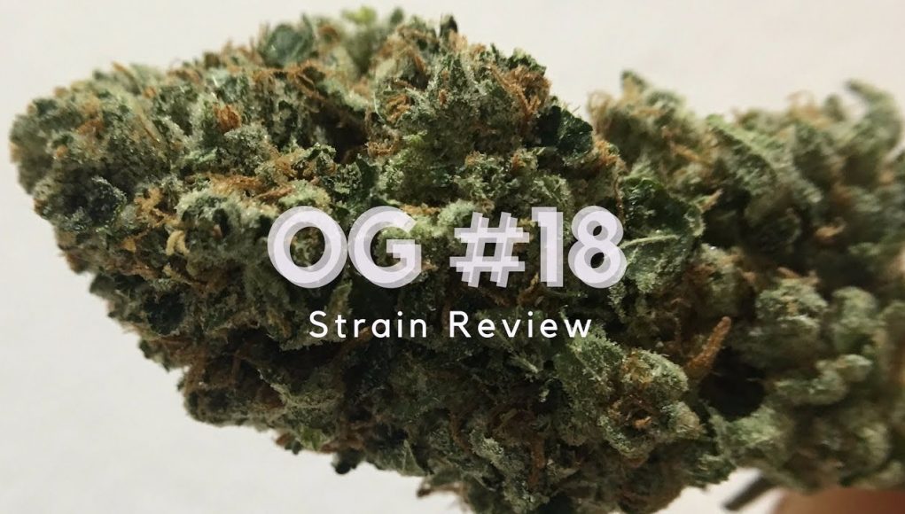 Archive image 5 for OG #18 Cannabis Strain Review