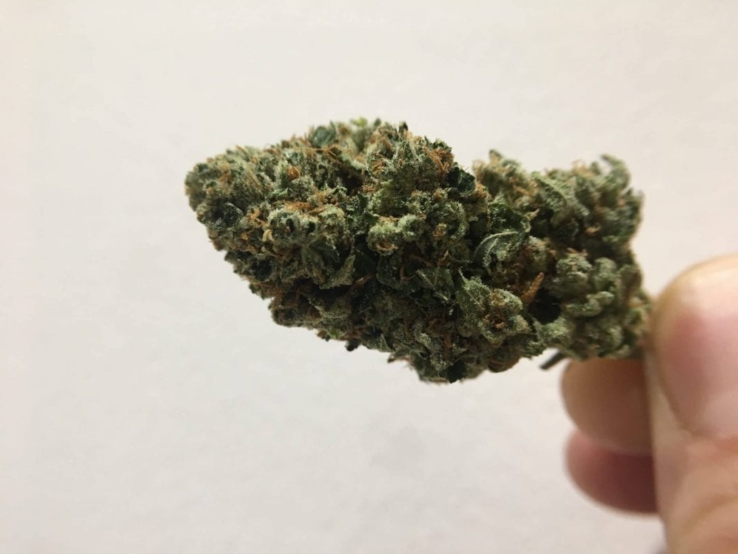 Archive image 8 for OG #18 Cannabis Strain Review