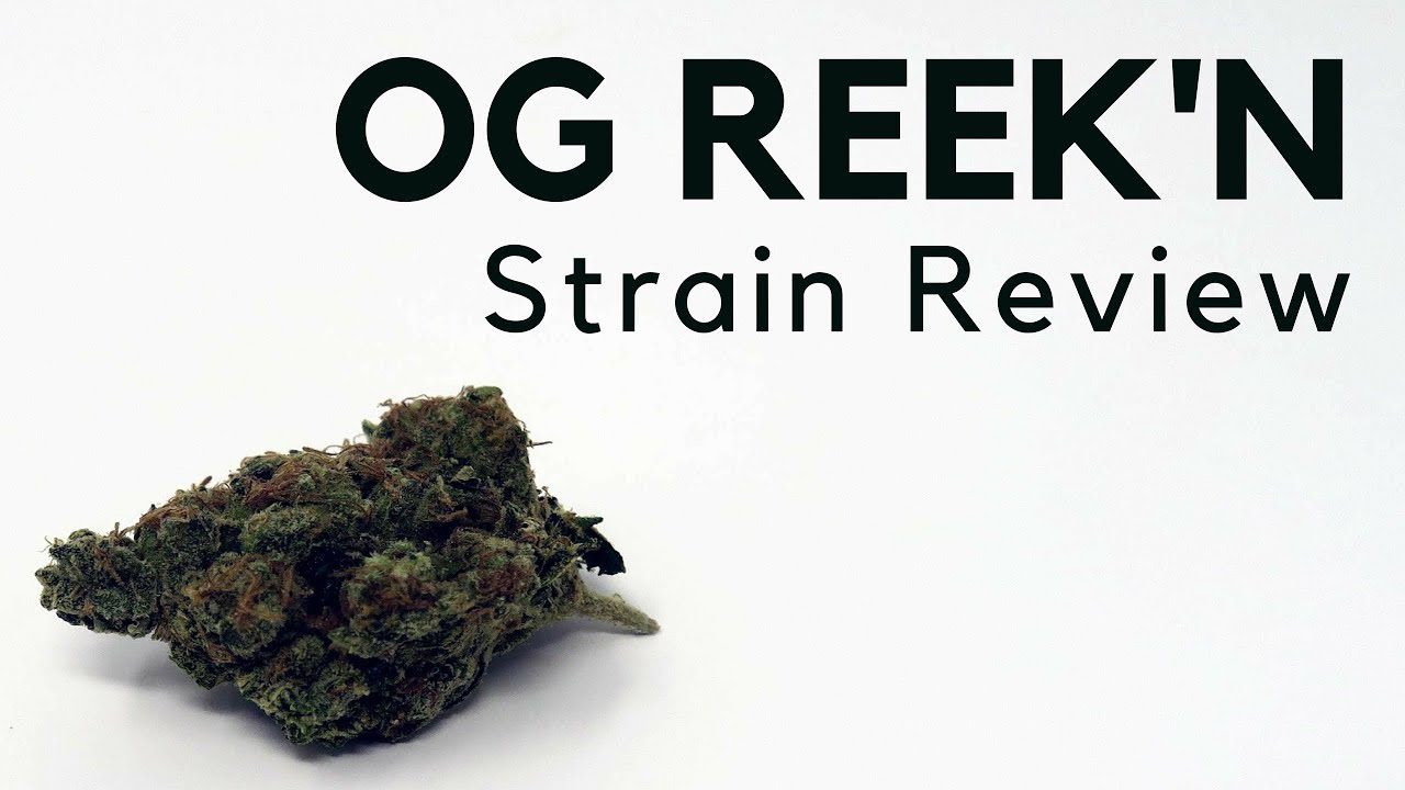 Archive image 7 for OG Reek'n Cannabis Strain Information & Review