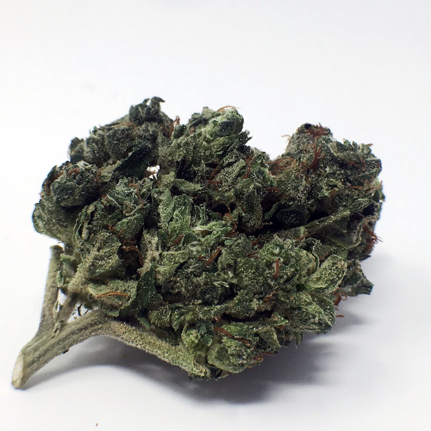 Archive image 2 for Orange Diesel V3 [ODV3] Cannabis Strain Review