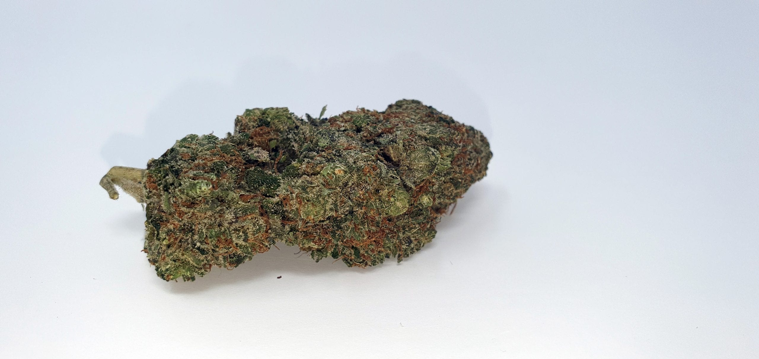 Archive image 4 for Orange Slush Cannabis Strain Review & Information
