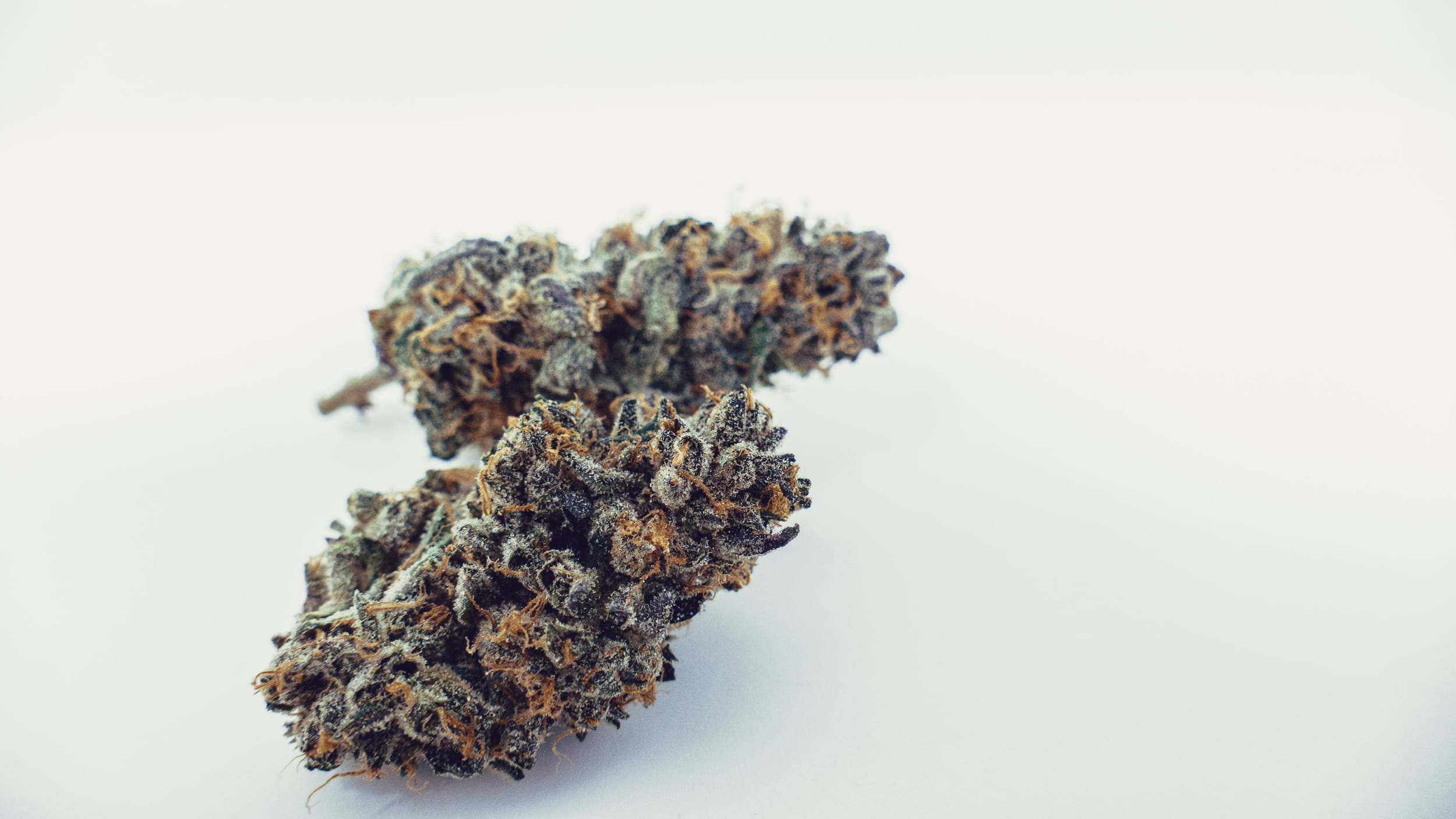 Archive image 7 for OZK Cannabis Strain Review & Information