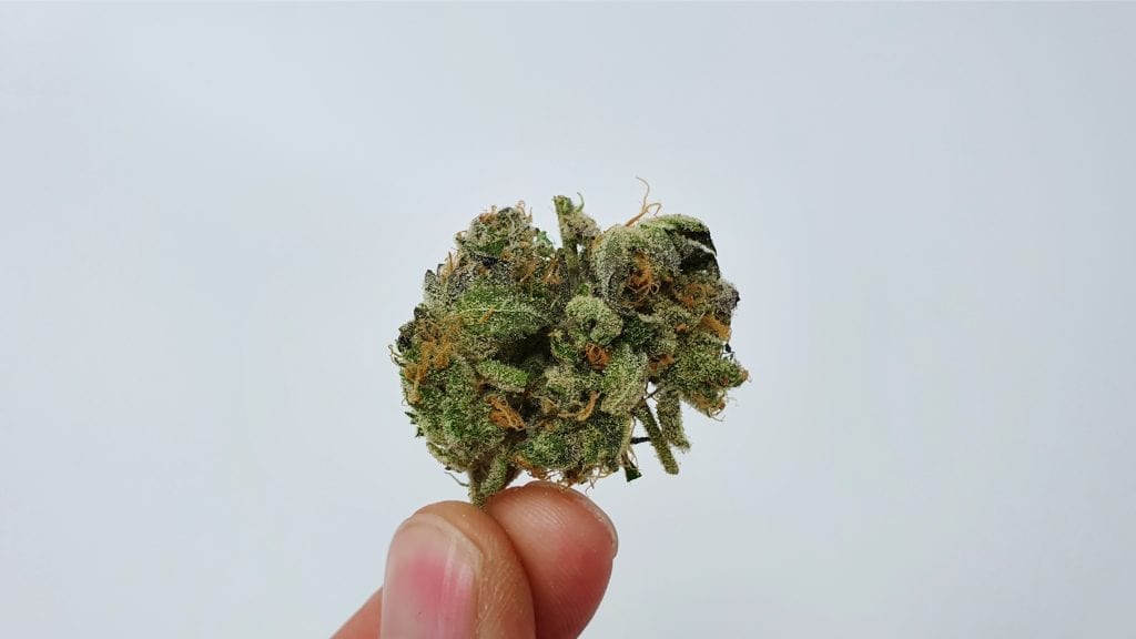Archive image 2 for Peach Ozz Cannabis Strain Review & Information