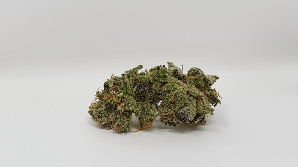 Archive image 4 for Peach Ozz Cannabis Strain Review & Information