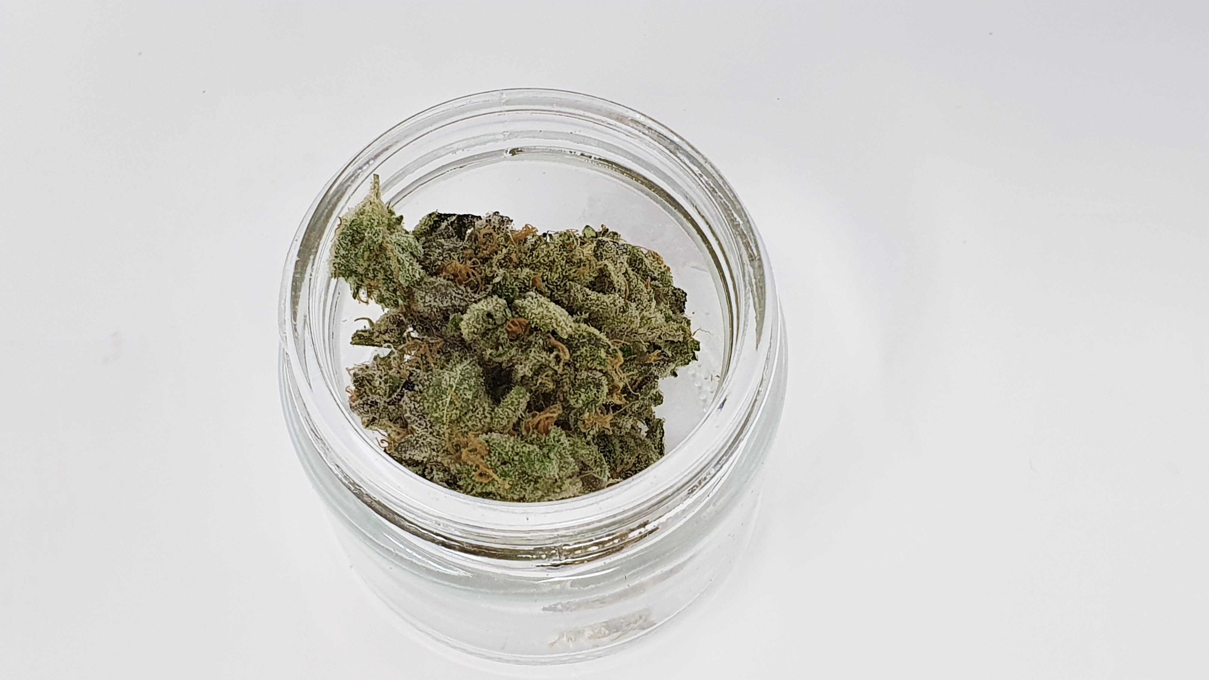 Archive image 5 for Peach Ozz Cannabis Strain Review & Information