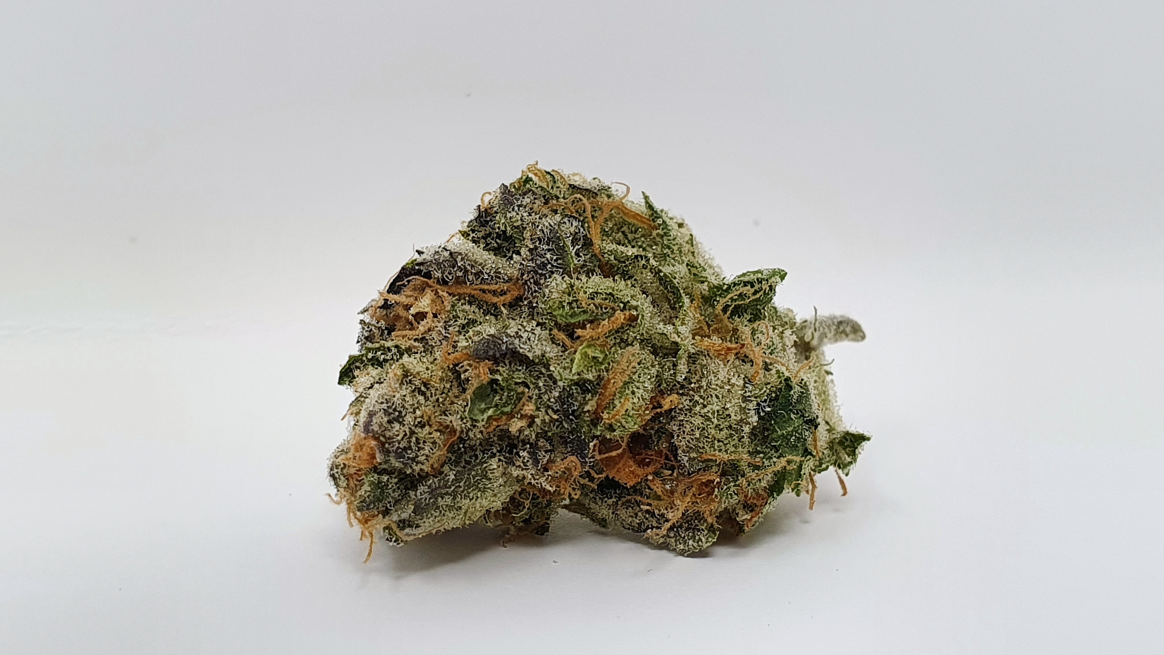 Archive image 7 for Peach Ozz Cannabis Strain Review & Information