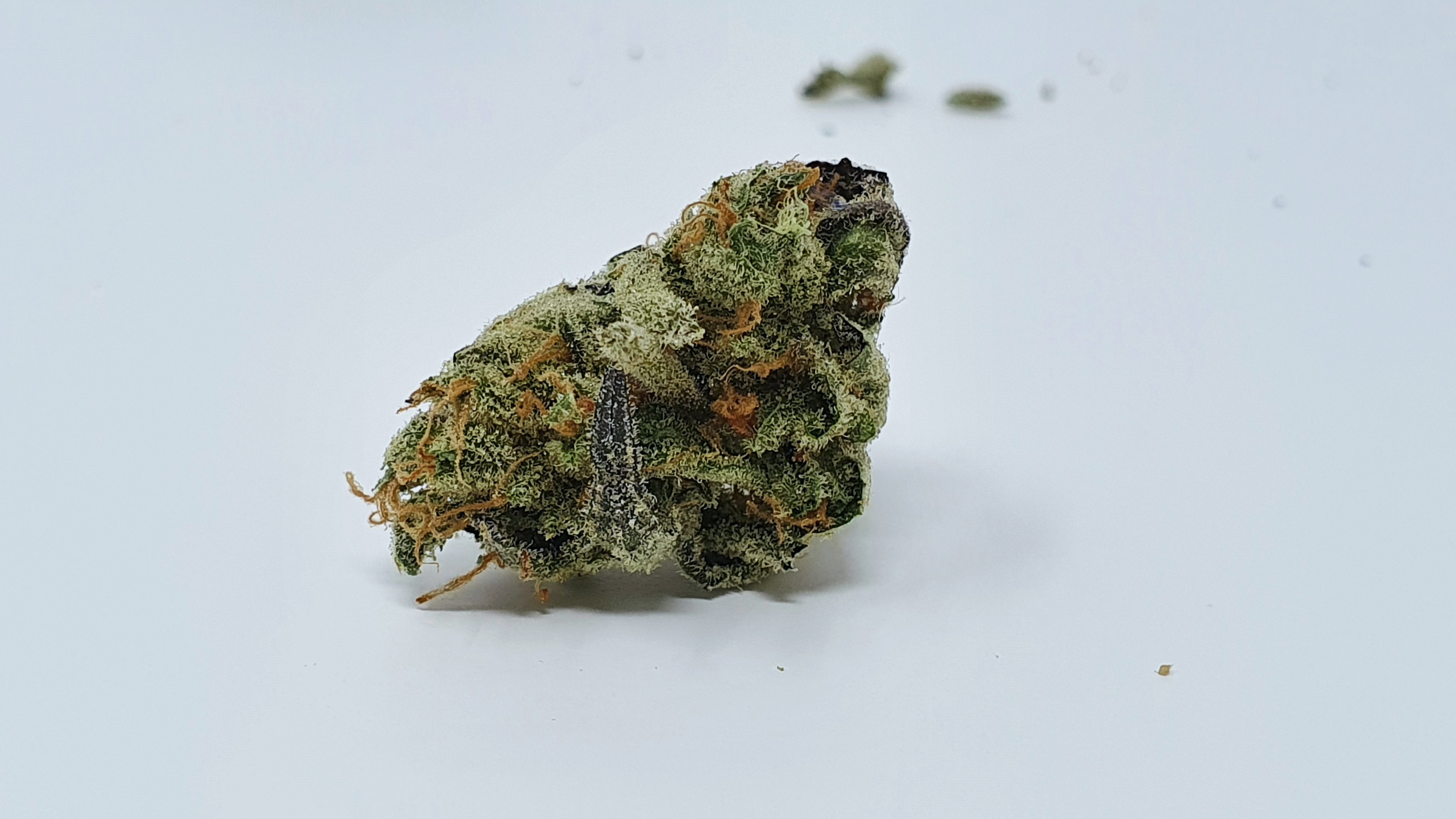 Archive image 9 for Peach Ozz Cannabis Strain Review & Information