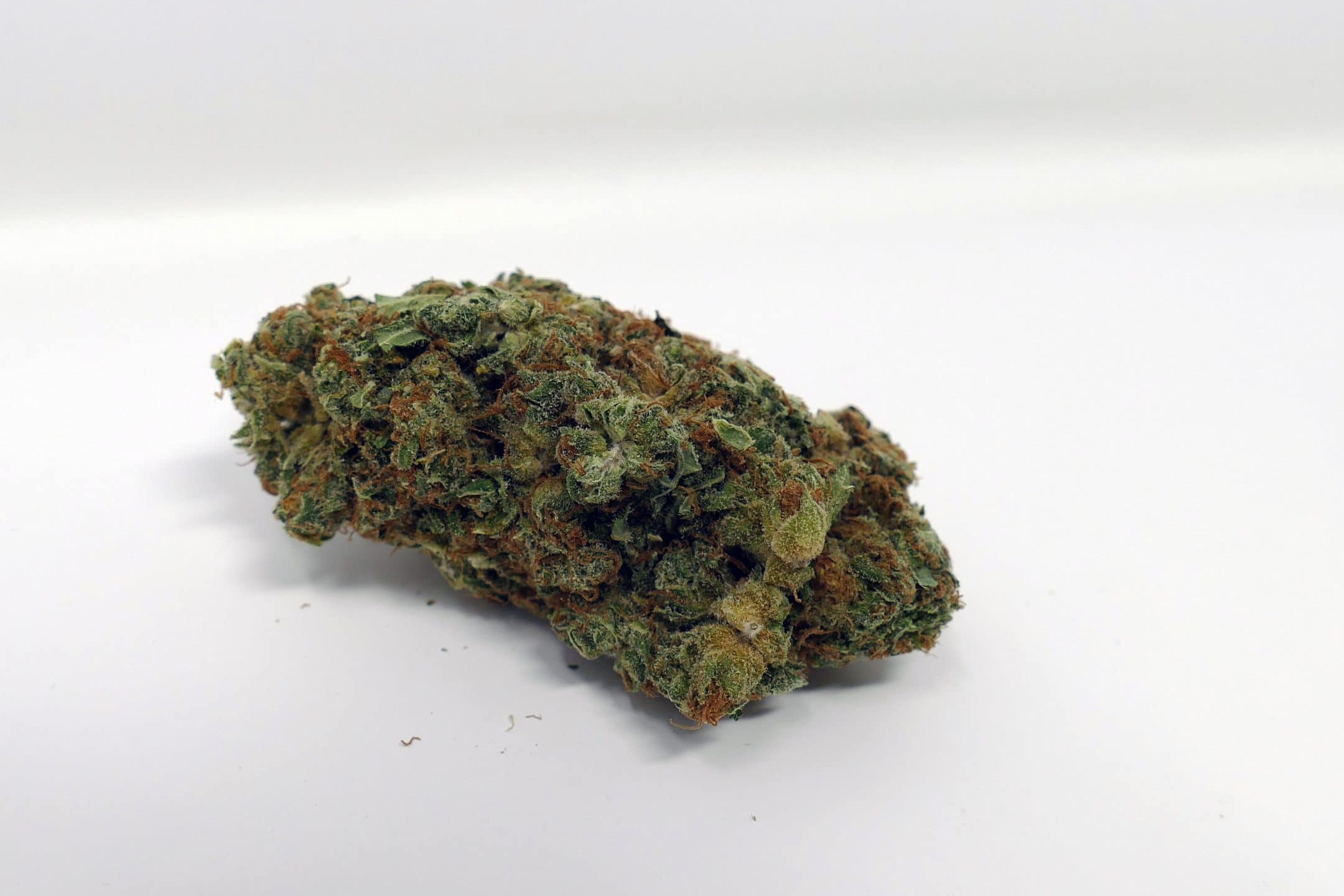 Archive image 3 for Peach Shnapps Cannabis Strain Review & Information