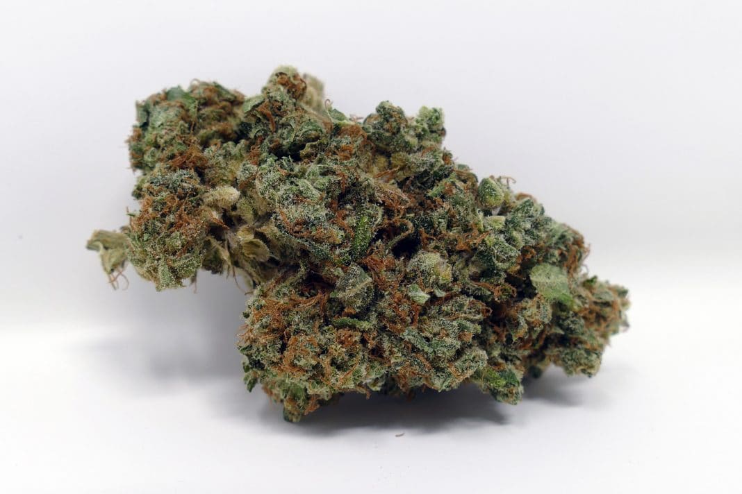 Archive image 5 for Peach Shnapps Cannabis Strain Review & Information