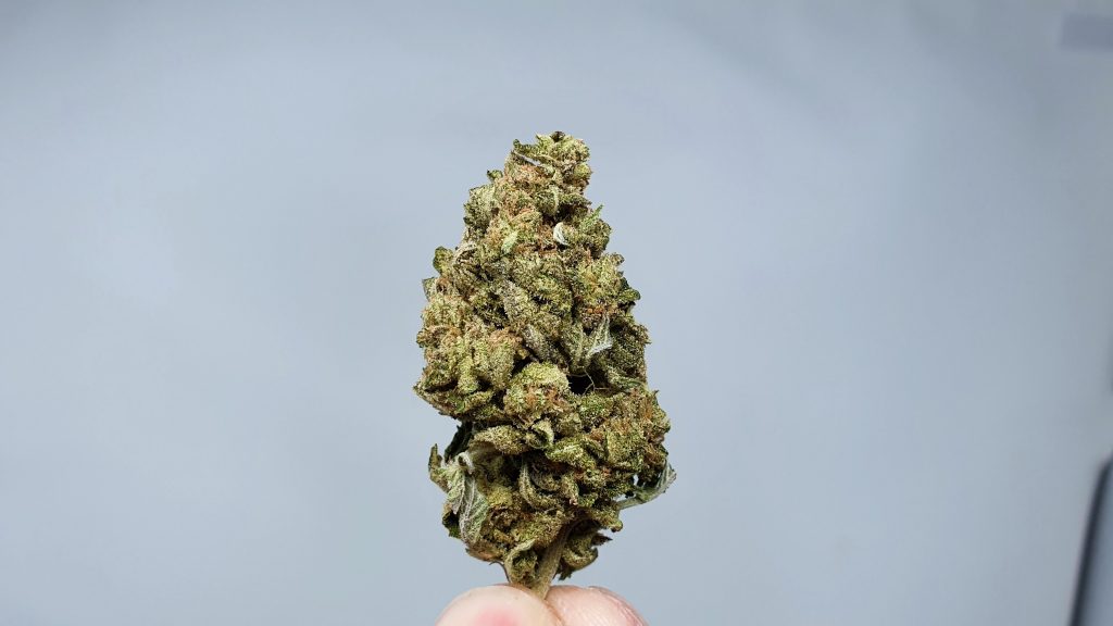 Archive image 3 for Phantom OG Cannabis Strain Review & Information