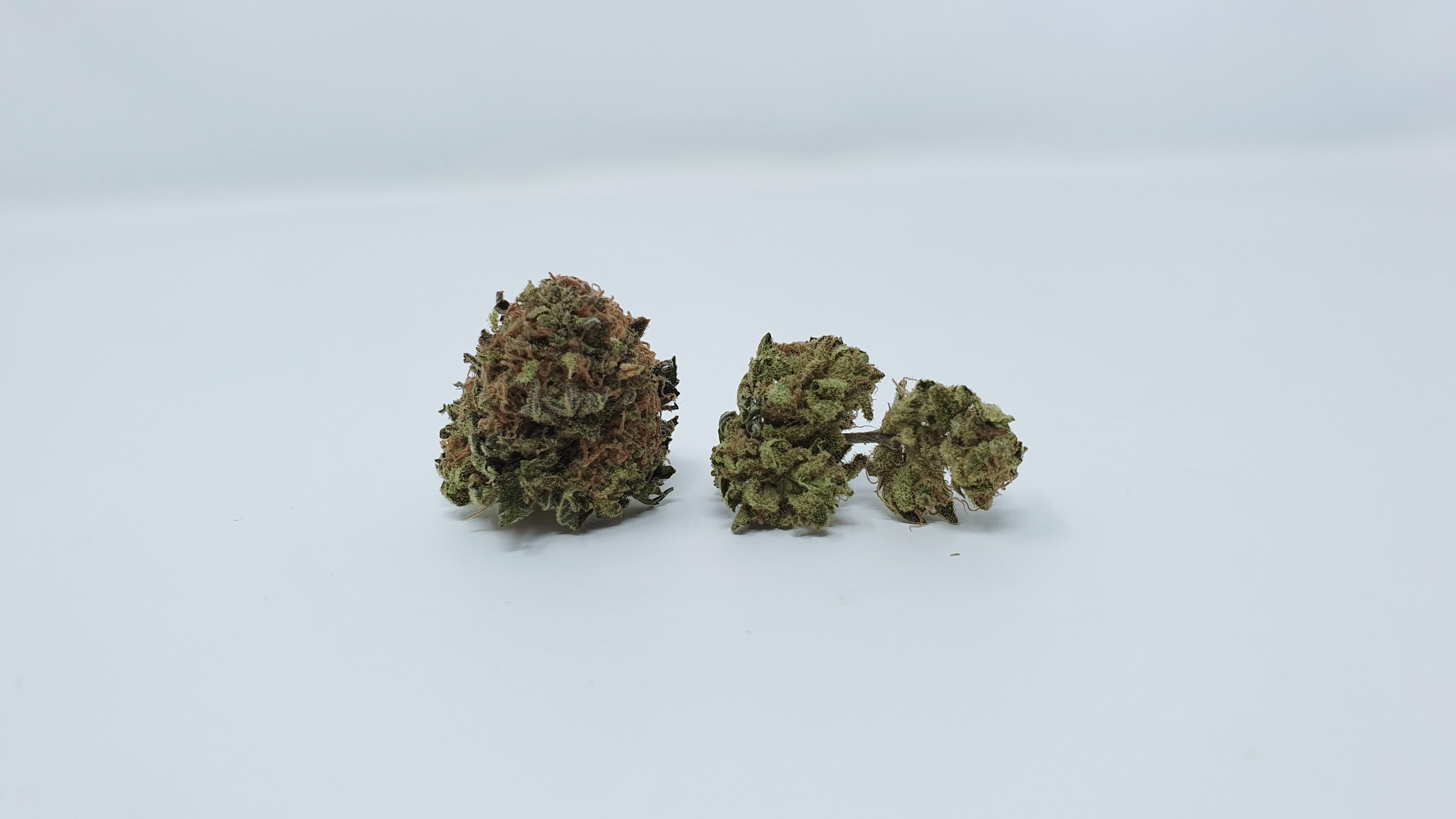 Archive image 6 for Phantom OG Cannabis Strain Review & Information