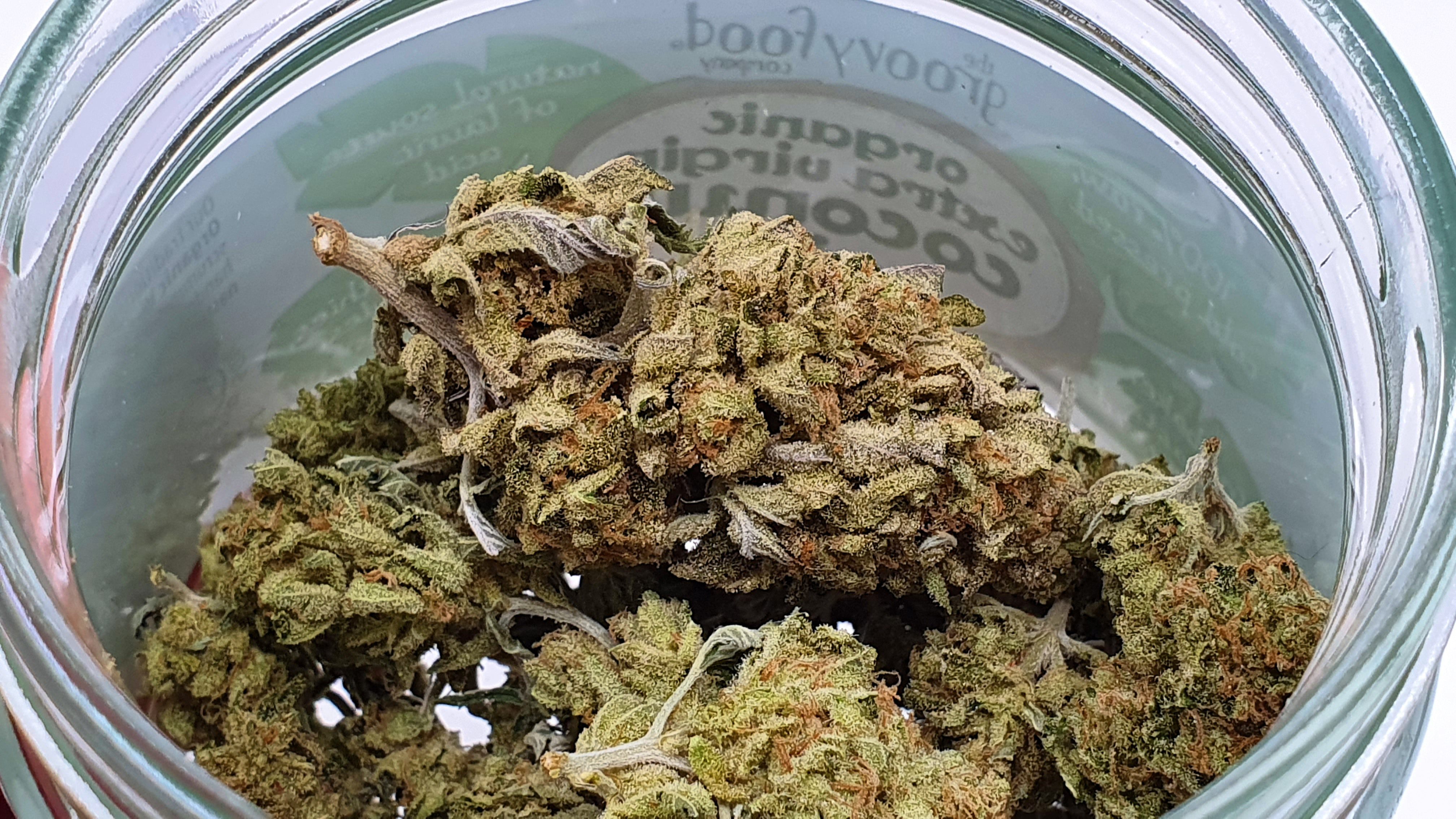 Archive image 8 for Phantom OG Cannabis Strain Review & Information