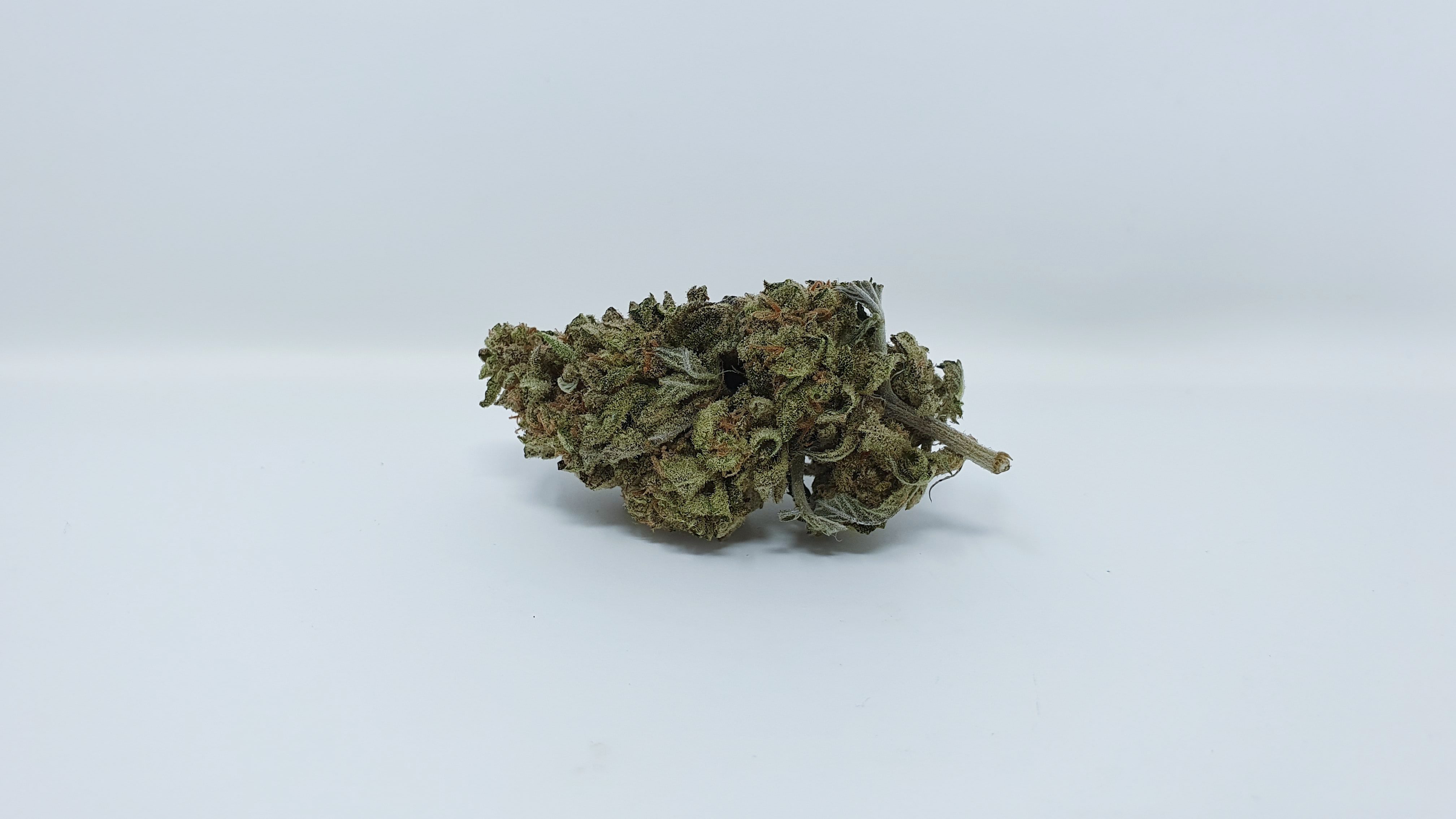 Archive image 9 for Phantom OG Cannabis Strain Review & Information