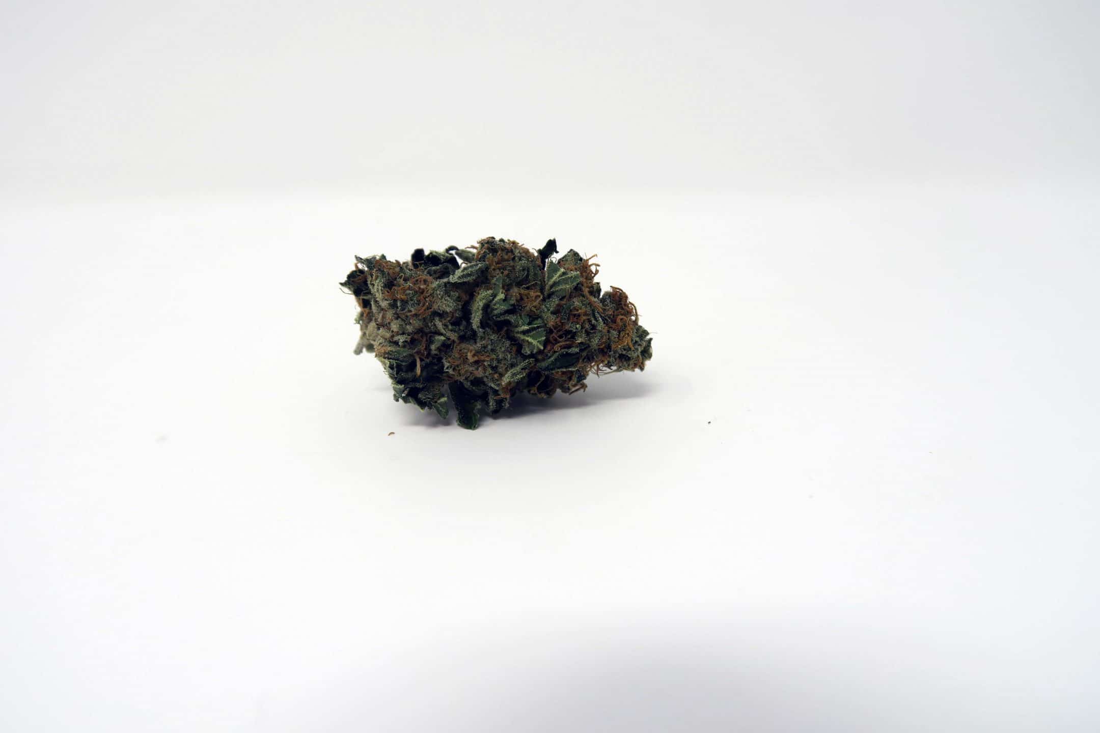 Archive image 2 for Platinum Girl Scout Cookies Strain Information
