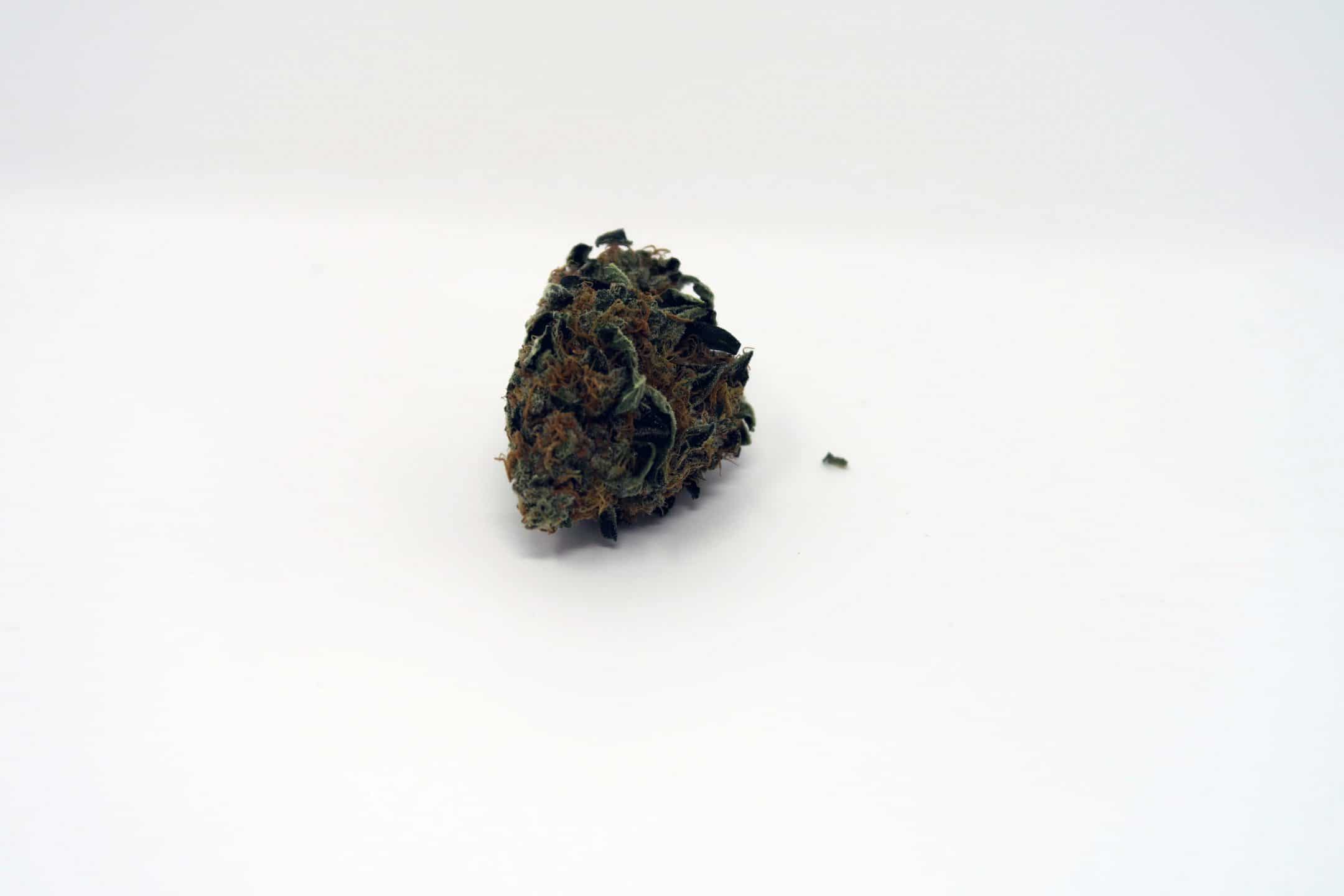 Archive image 4 for Platinum Girl Scout Cookies Strain Information