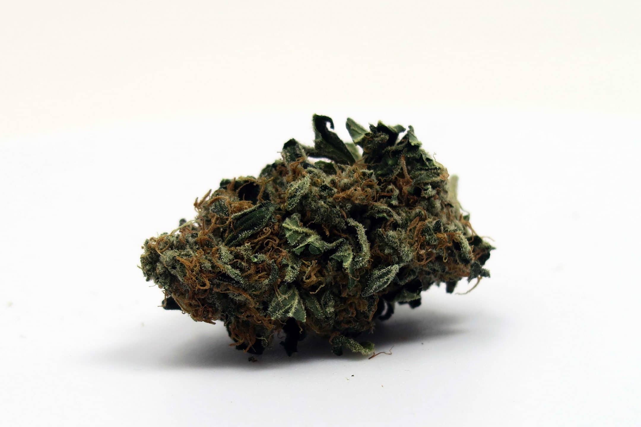 Archive image 5 for Platinum Girl Scout Cookies Strain Information
