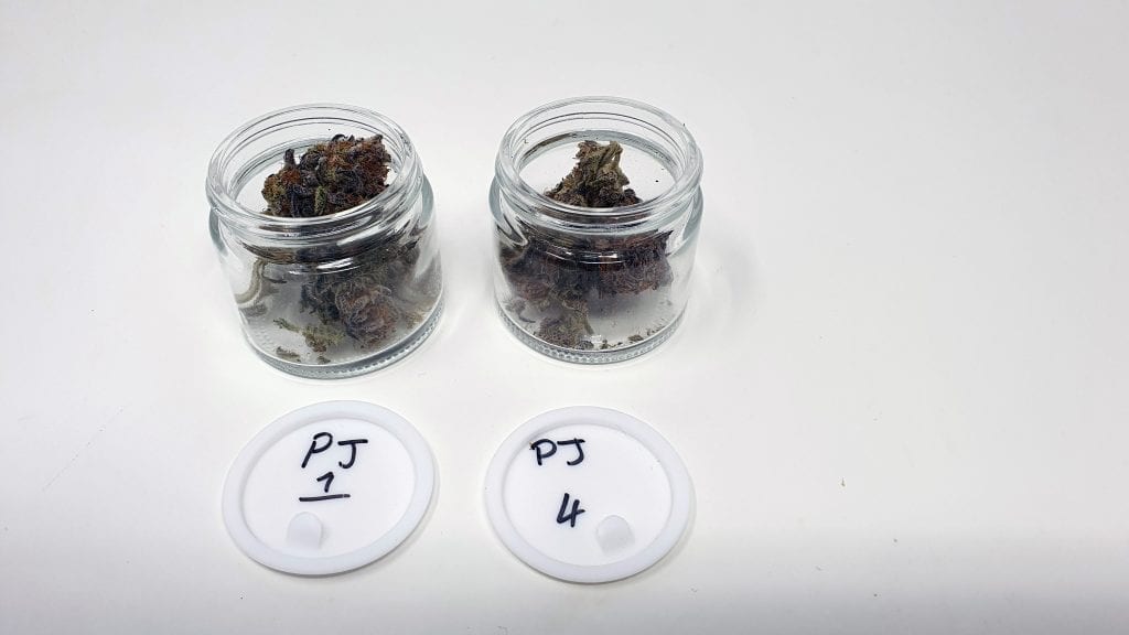 Archive image 2 for Platinum Jelly Cannabis Strain Review