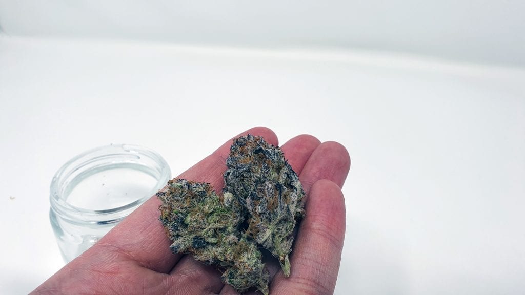 Archive image 4 for Platinum Jelly Cannabis Strain Review