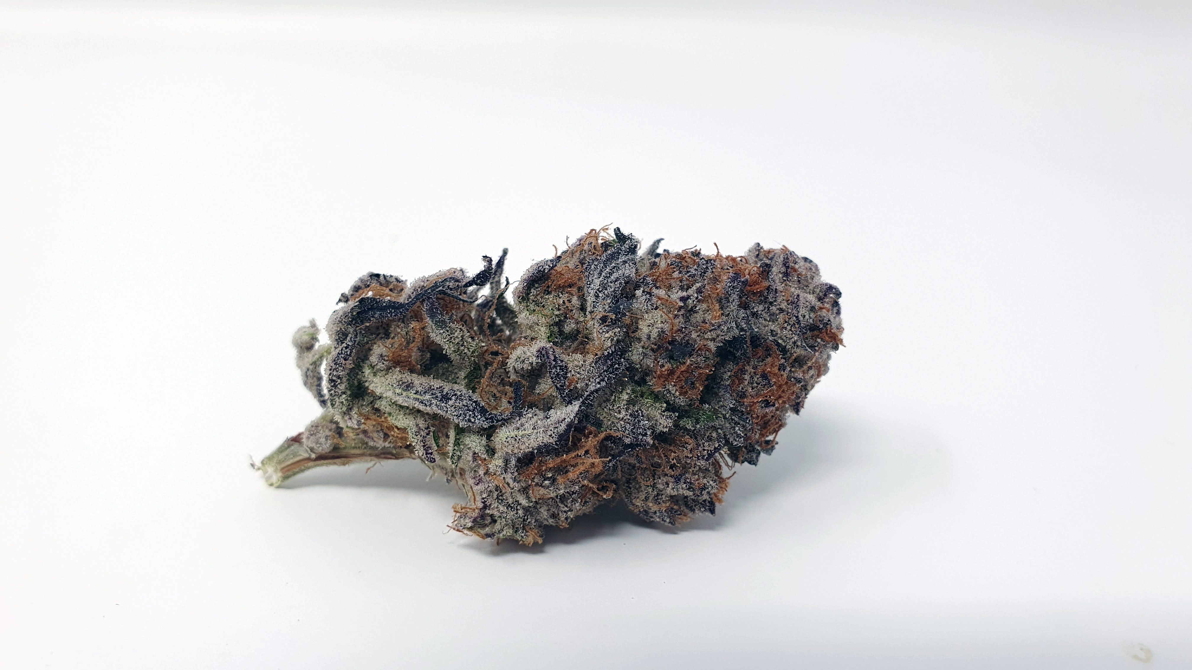 Archive image 7 for Platinum Jelly Cannabis Strain Review