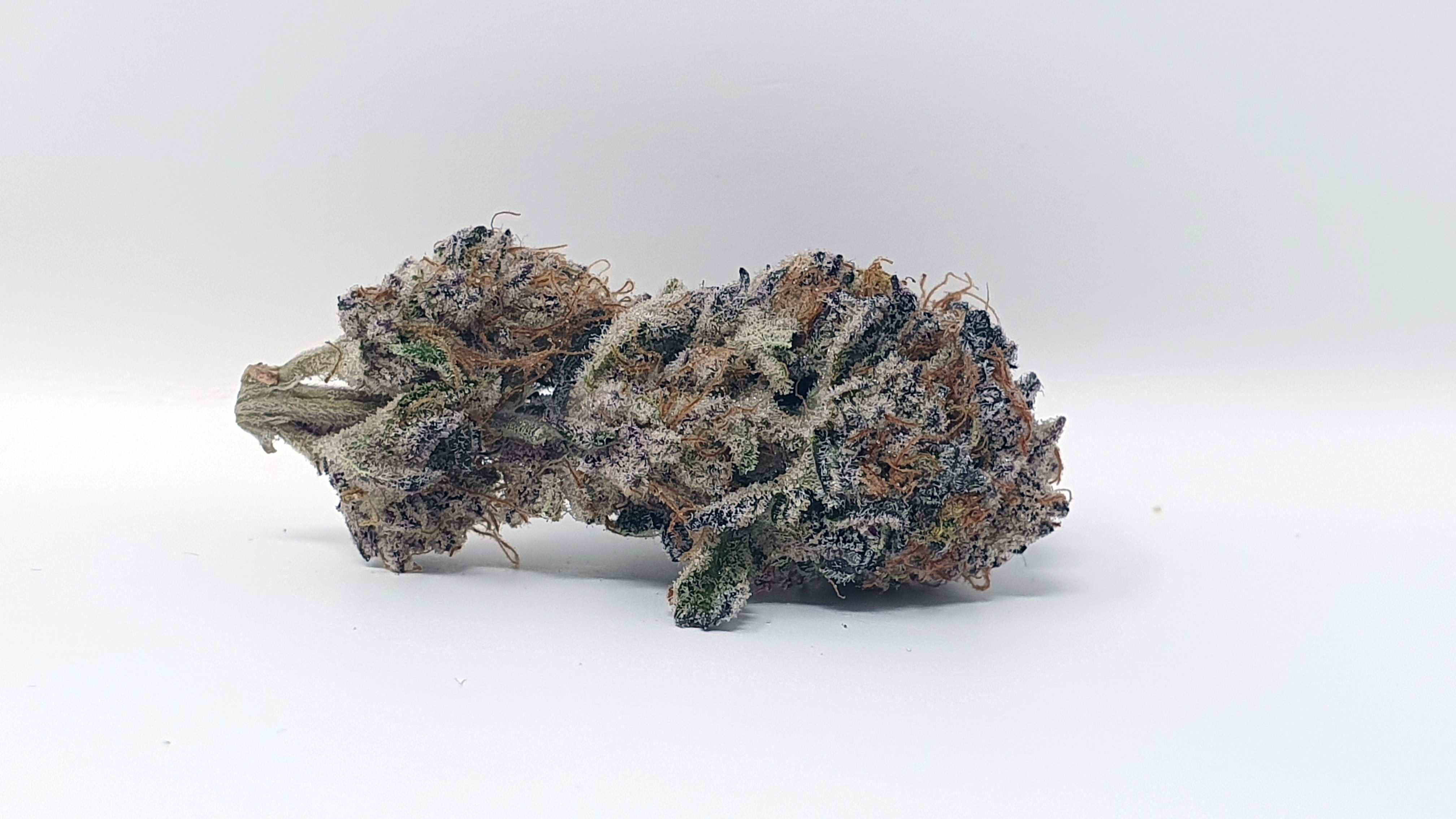 Archive image 8 for Platinum Jelly Cannabis Strain Review