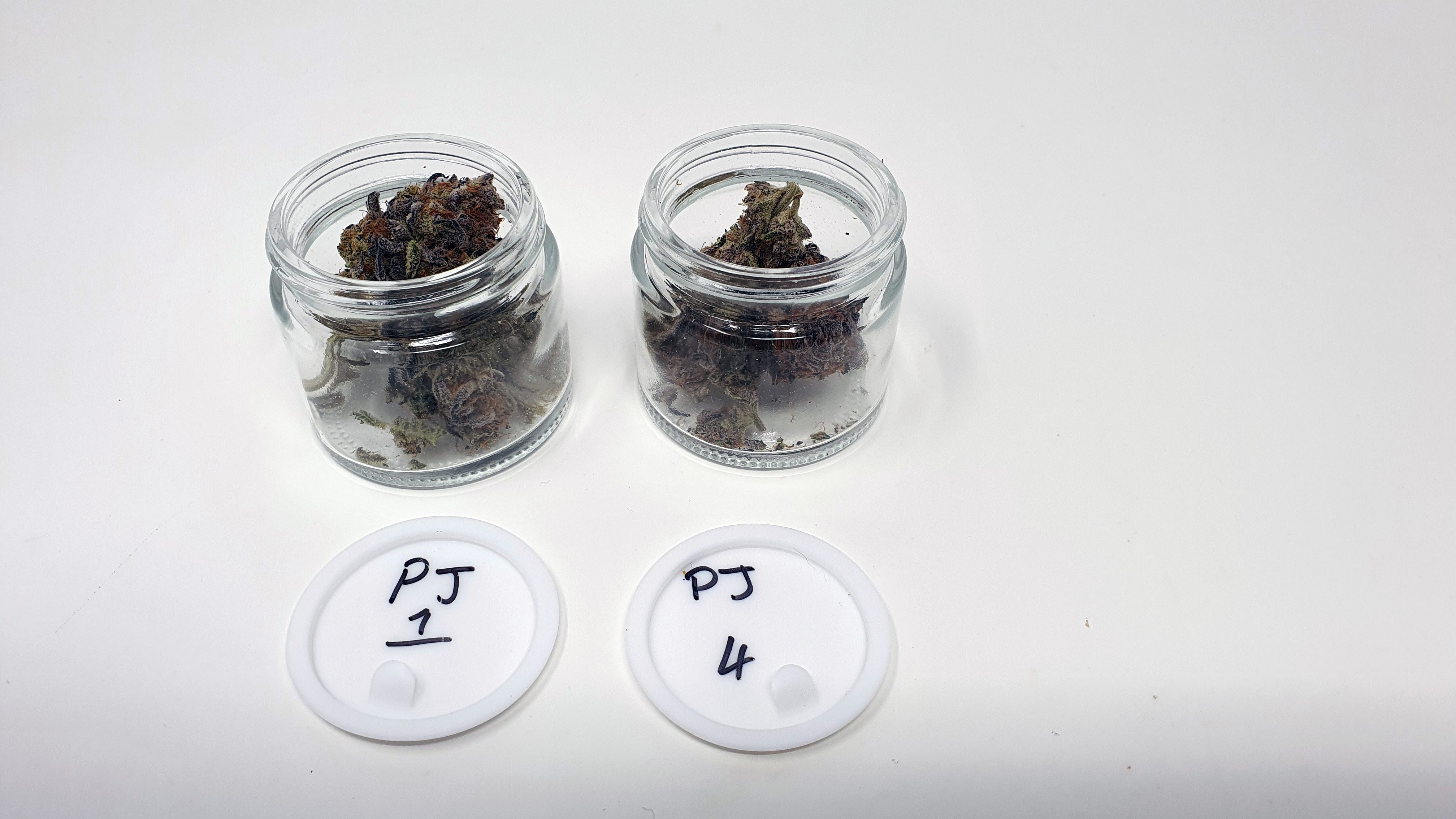 Archive image 9 for Platinum Jelly Cannabis Strain Review