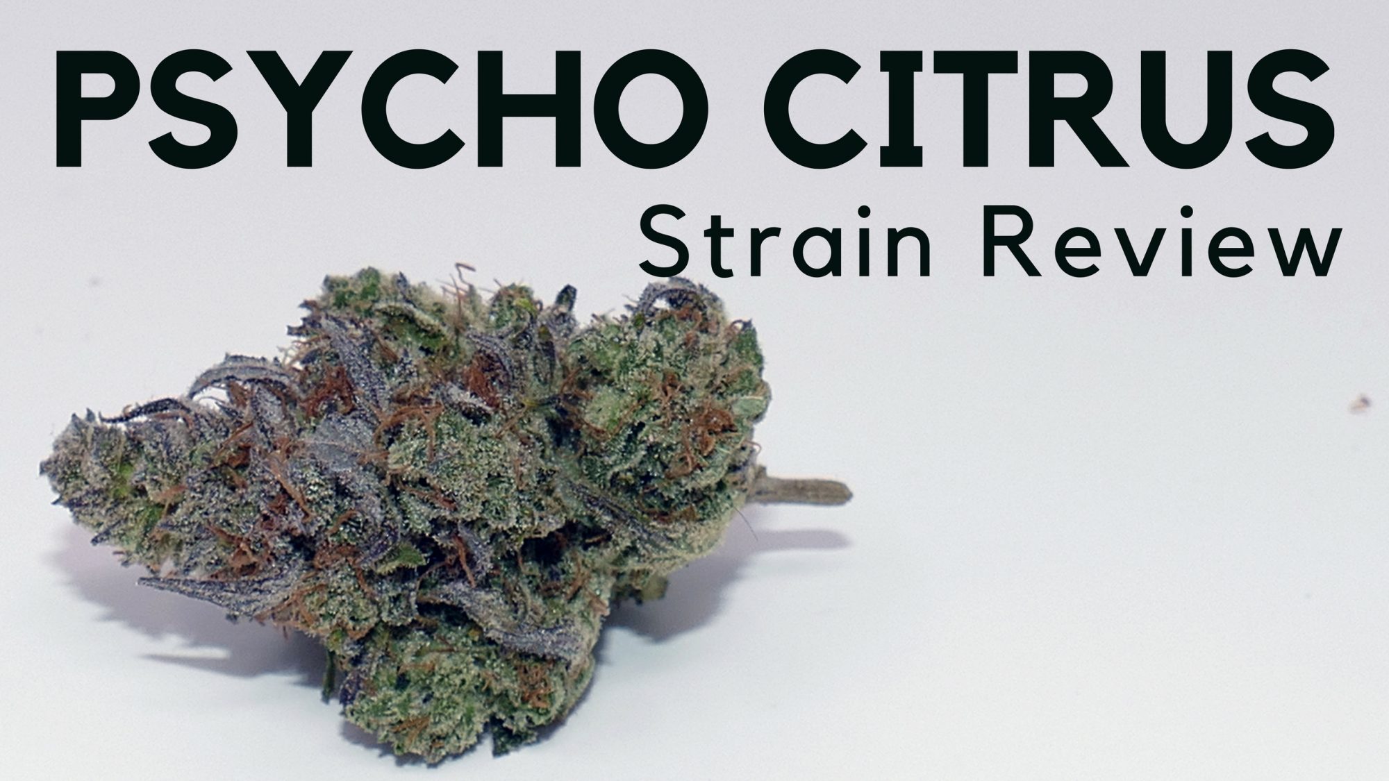 Archive image 6 for Psycho Citrus Cannabis Strain Information & Review