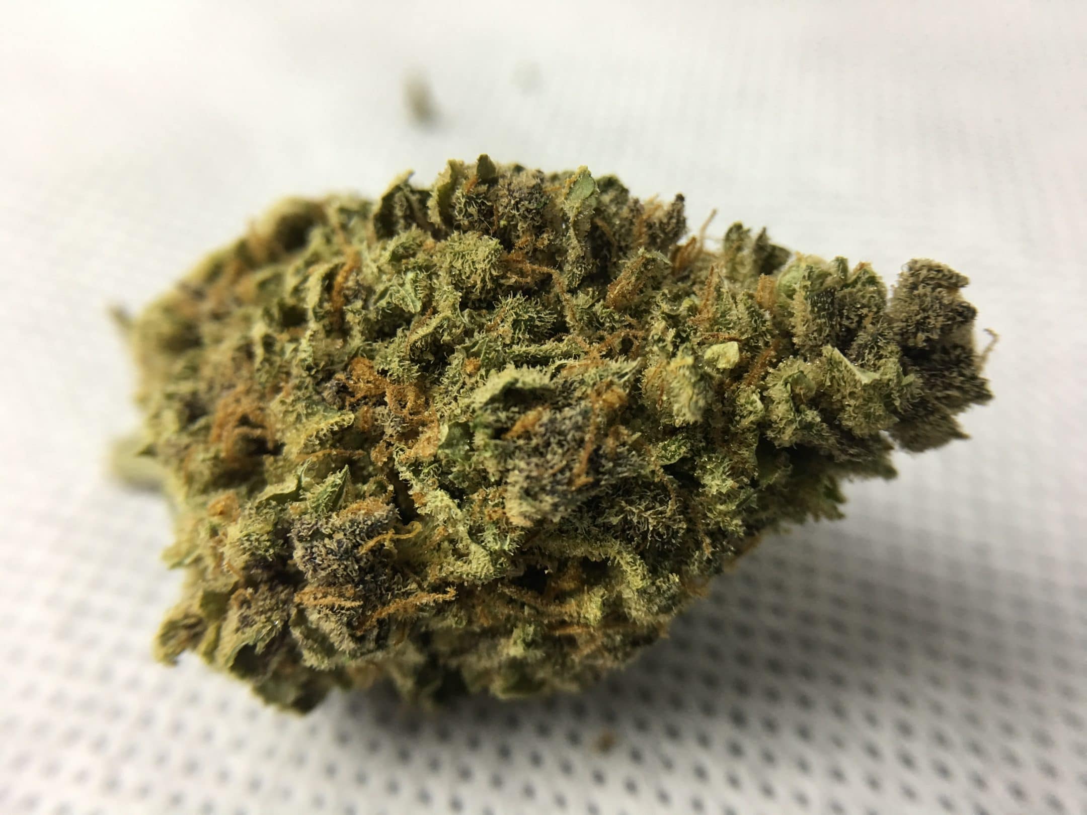 Archive image 2 for Purple Mother of Berries Cannabis Strain Review