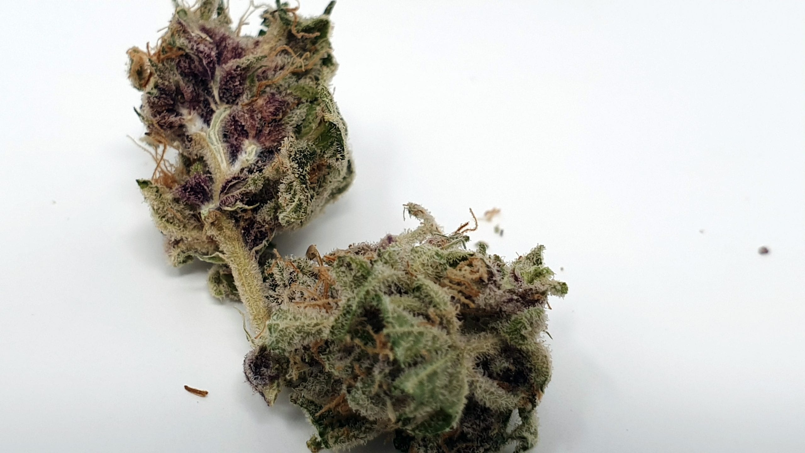 Archive image 2 for Purple Punch Cannabis Strain Review & Information