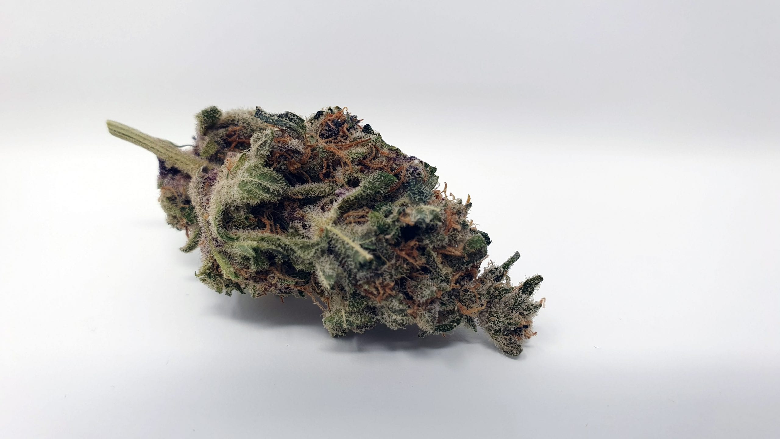 Archive image 3 for Purple Punch Cannabis Strain Review & Information