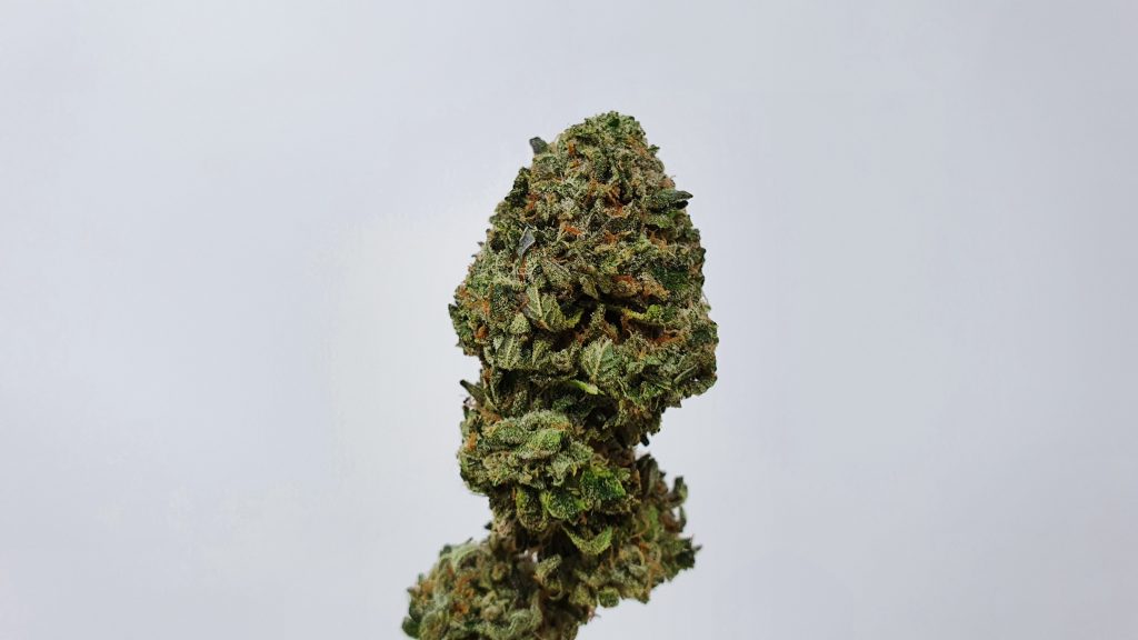 Archive image 3 for Rainbow Belts Cannabis Strain Review & Information