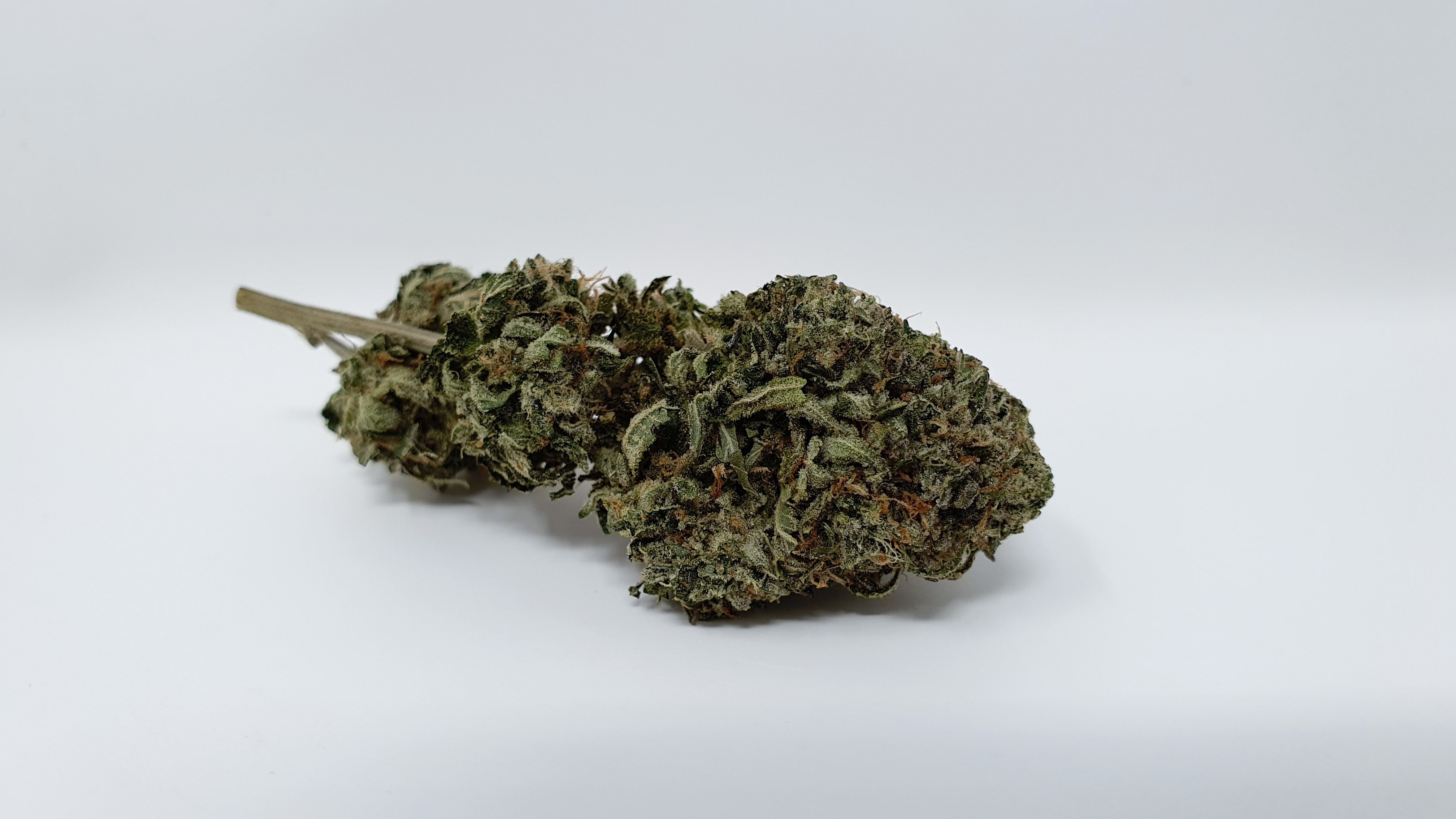 Archive image 9 for Rainbow Belts Cannabis Strain Review & Information