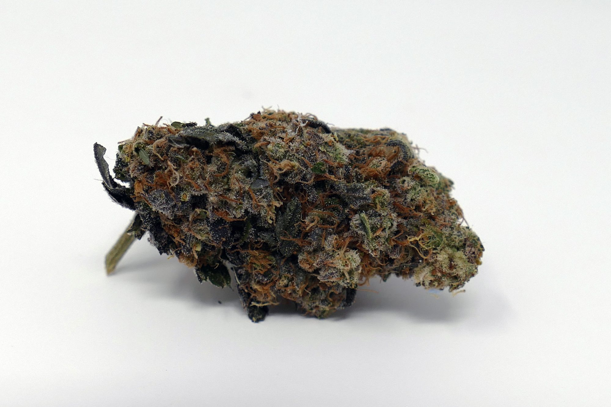 Road Dawg - Cannabis Strain Review & Information