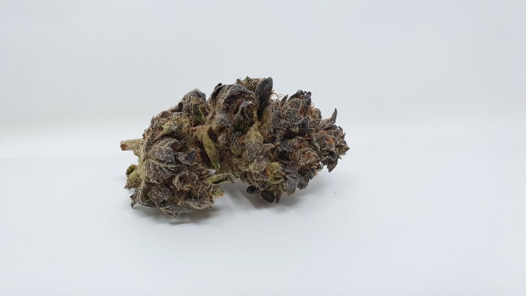 Archive image 3 for Sherb Crasher Cannabis Strain Review & Information