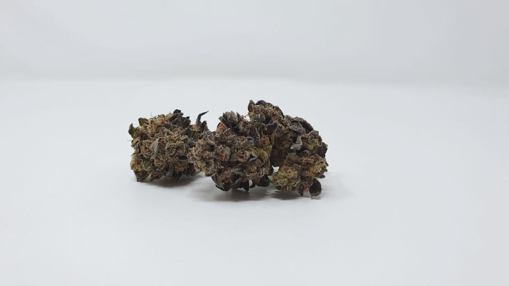 Archive image 5 for Sherb Crasher Cannabis Strain Review & Information