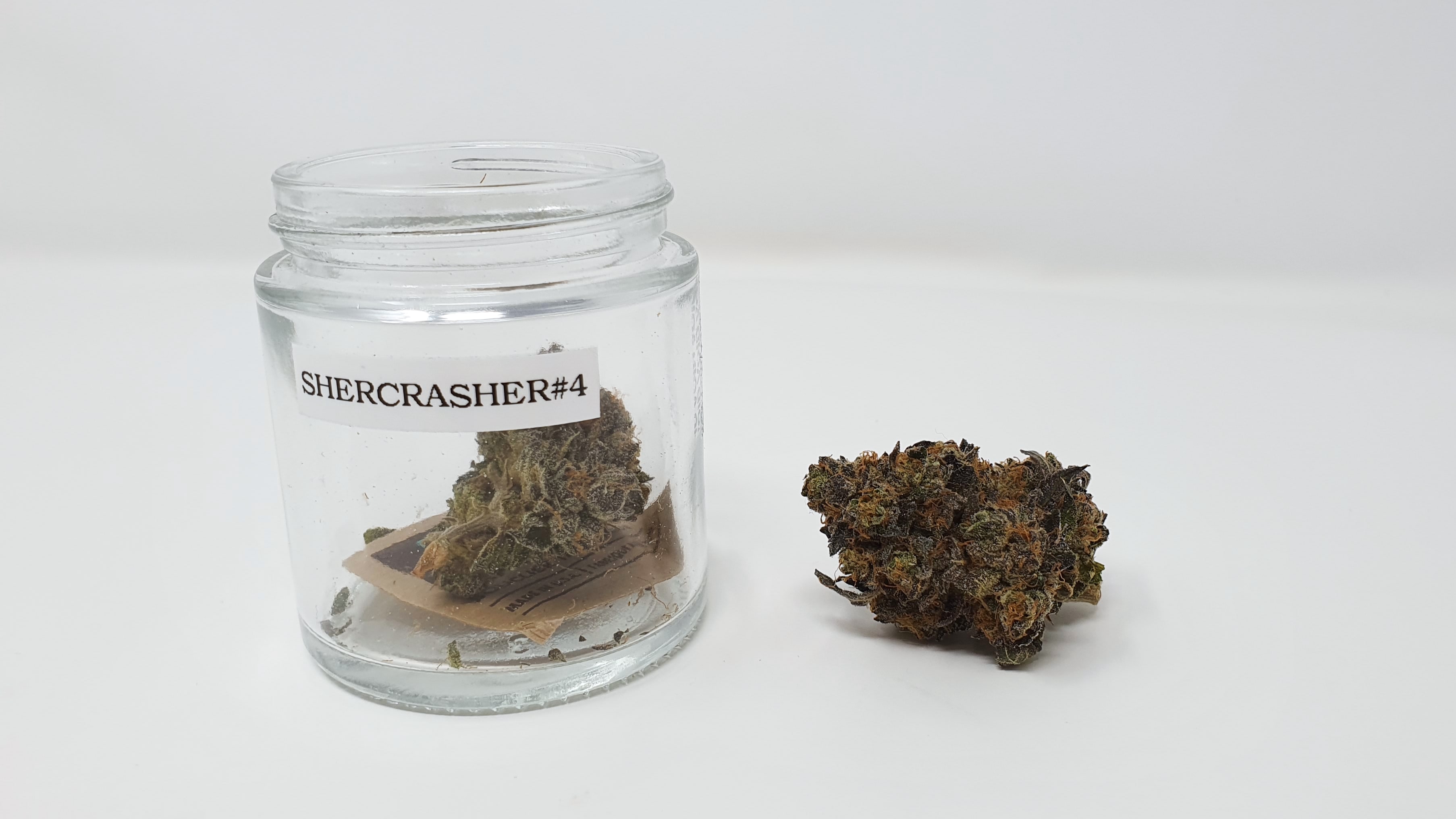 Archive image 6 for Sherb Crasher Cannabis Strain Review & Information