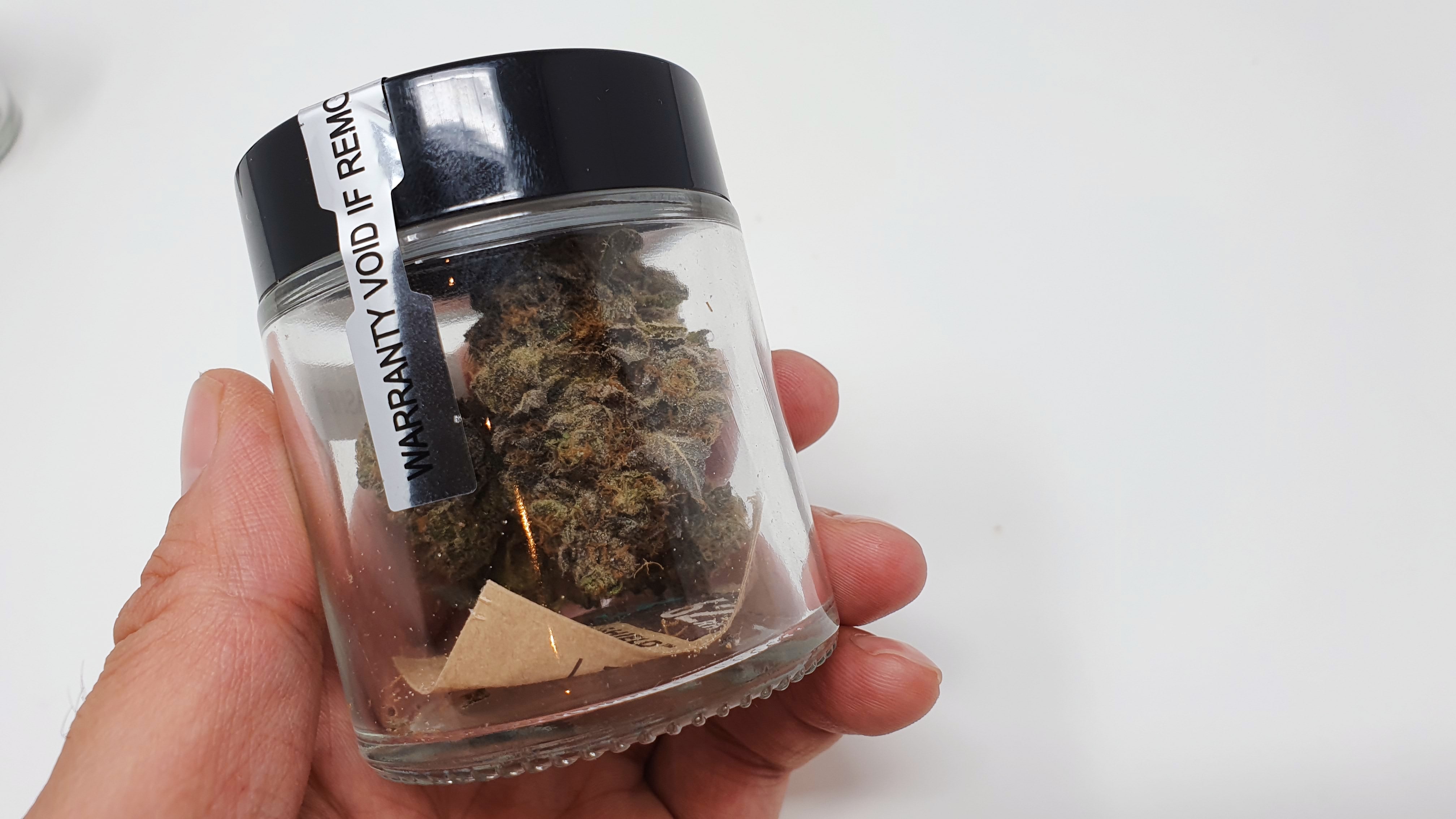 Archive image 9 for Sherb Crasher Cannabis Strain Review & Information