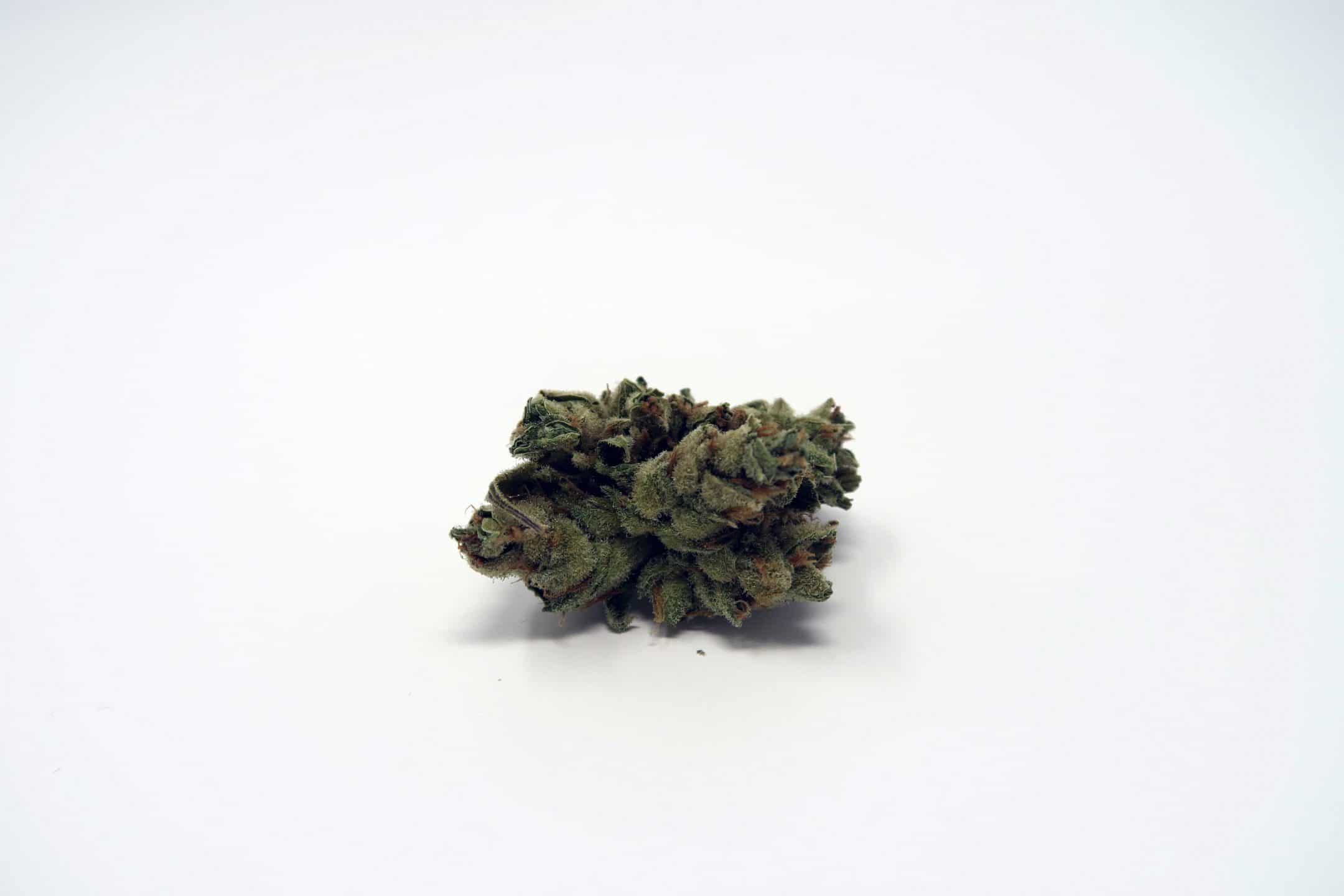Archive image 2 for Silver Bubble Strain Review