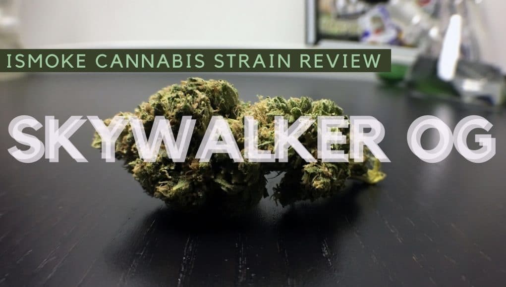 Archive image 4 for Skywalker OG Cannabis Strain Review