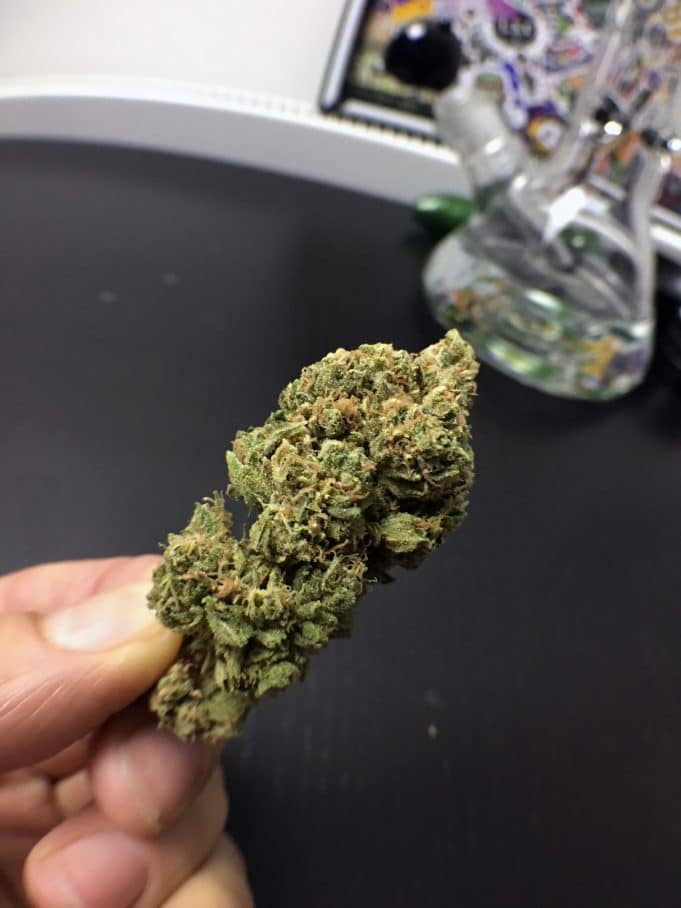 Archive image 6 for Skywalker OG Cannabis Strain Review