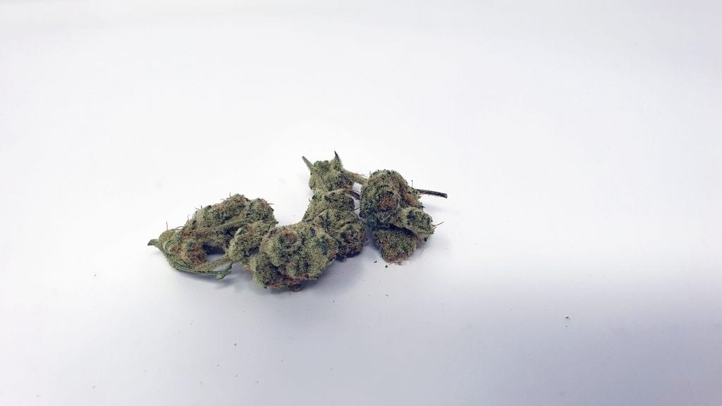 Archive image 4 for Slurricane Strain Review & Information