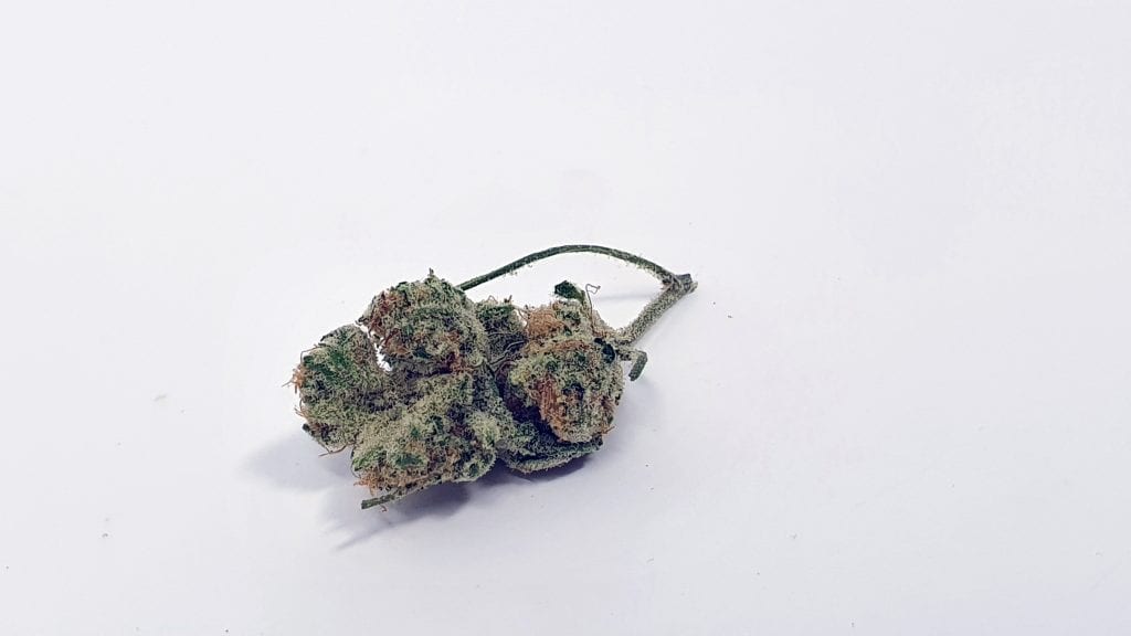 Archive image 5 for Slurricane Strain Review & Information