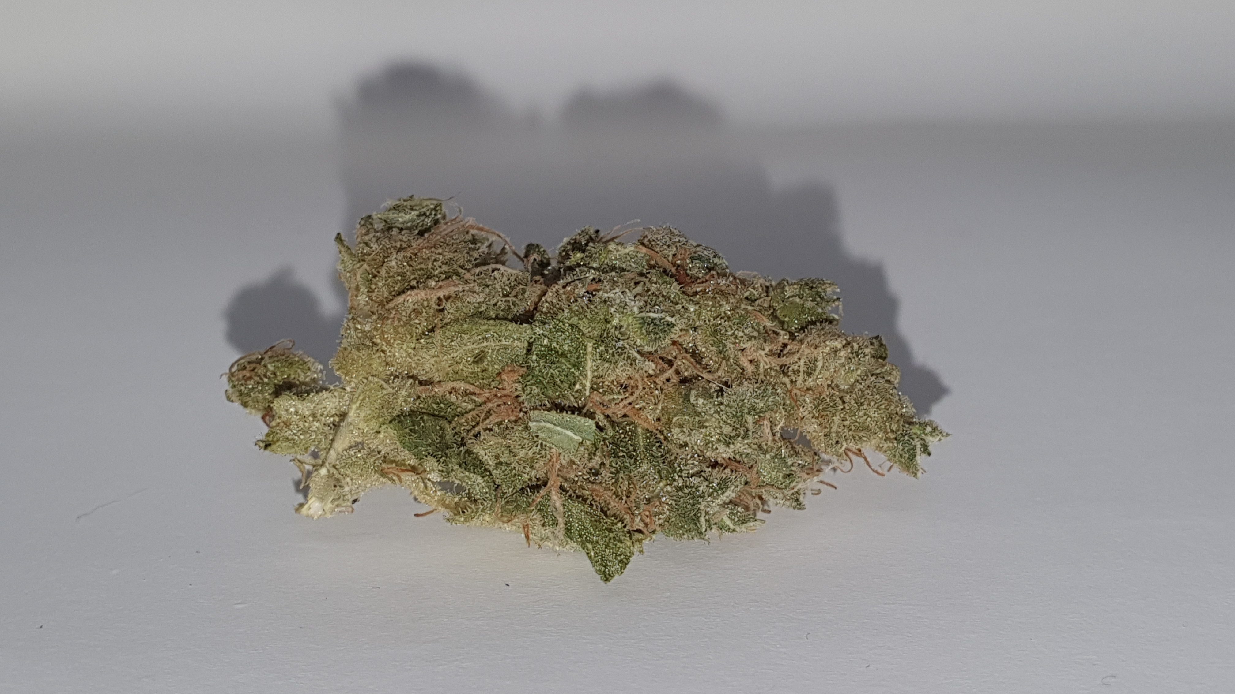 Archive image 7 for SmellyBerry Cannabis Strain Review & Information