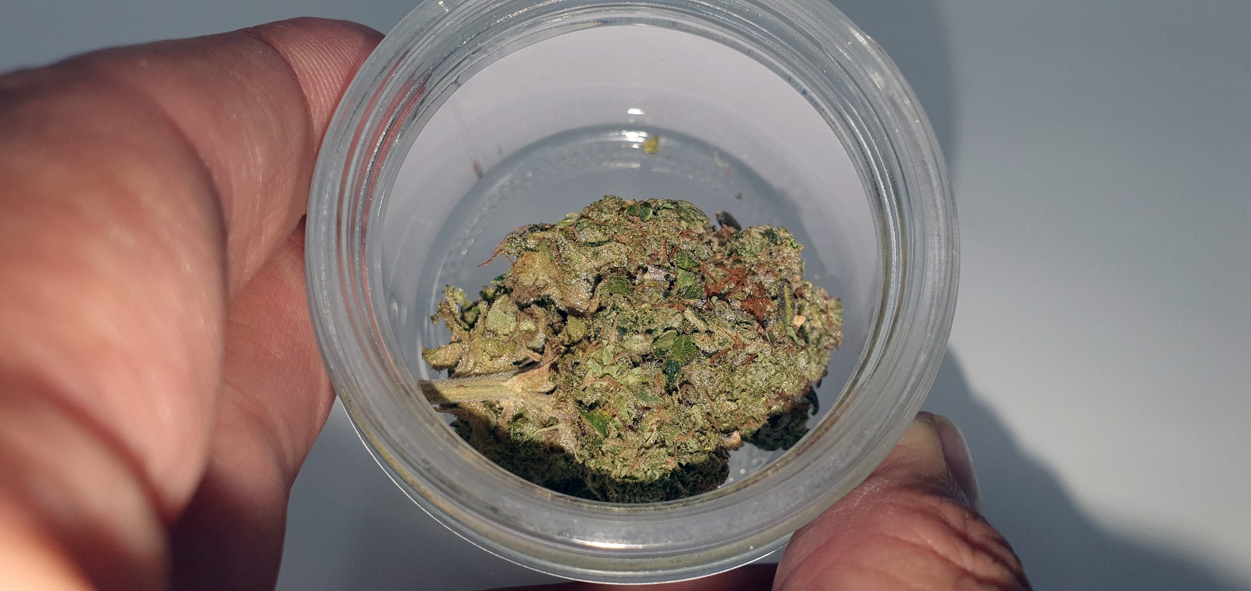 Archive image 5 for Sour Diesel Bx2 Cannabis Strain Review & Information