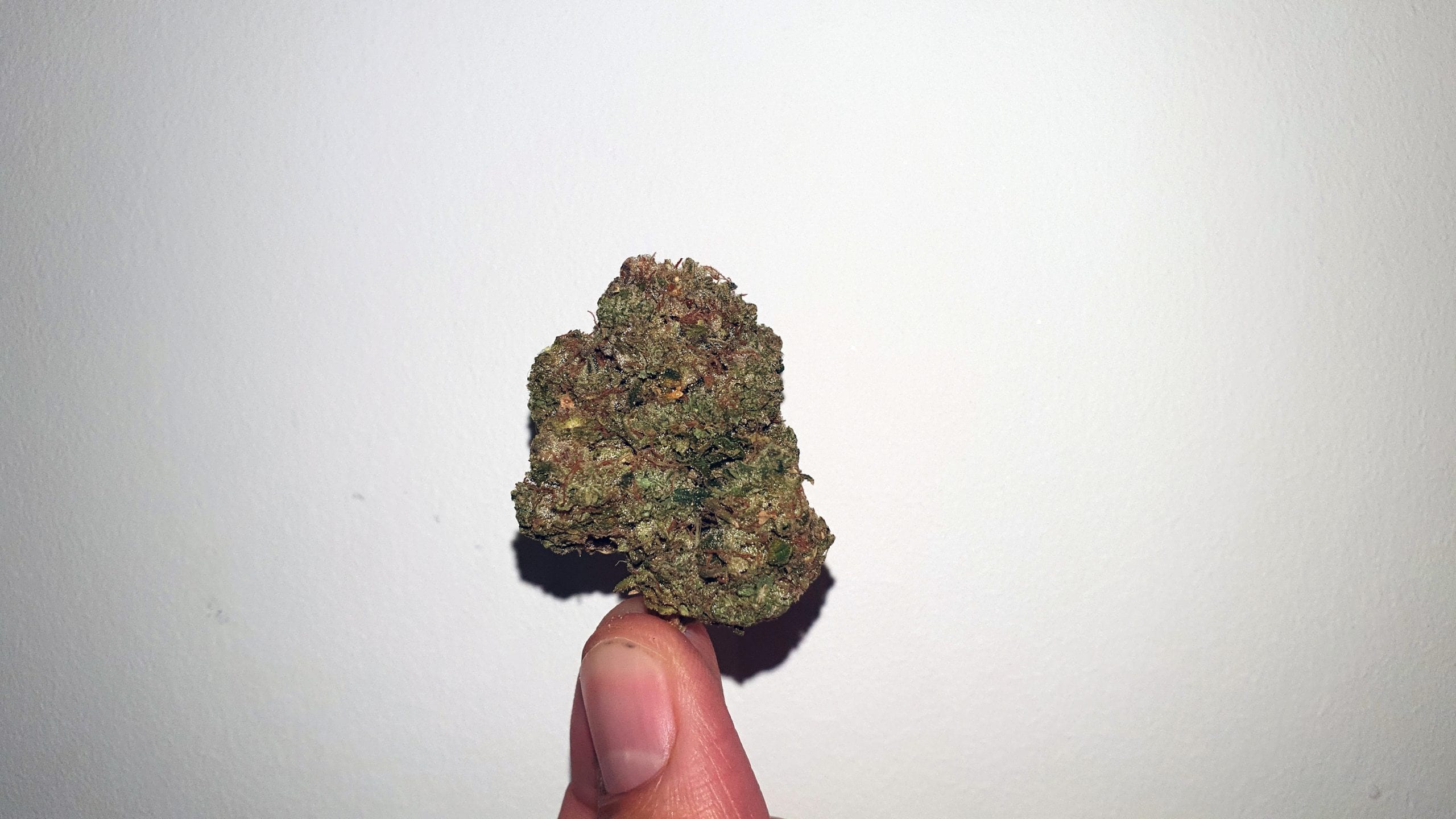 Archive image 6 for Sour Diesel Bx2 Cannabis Strain Review & Information